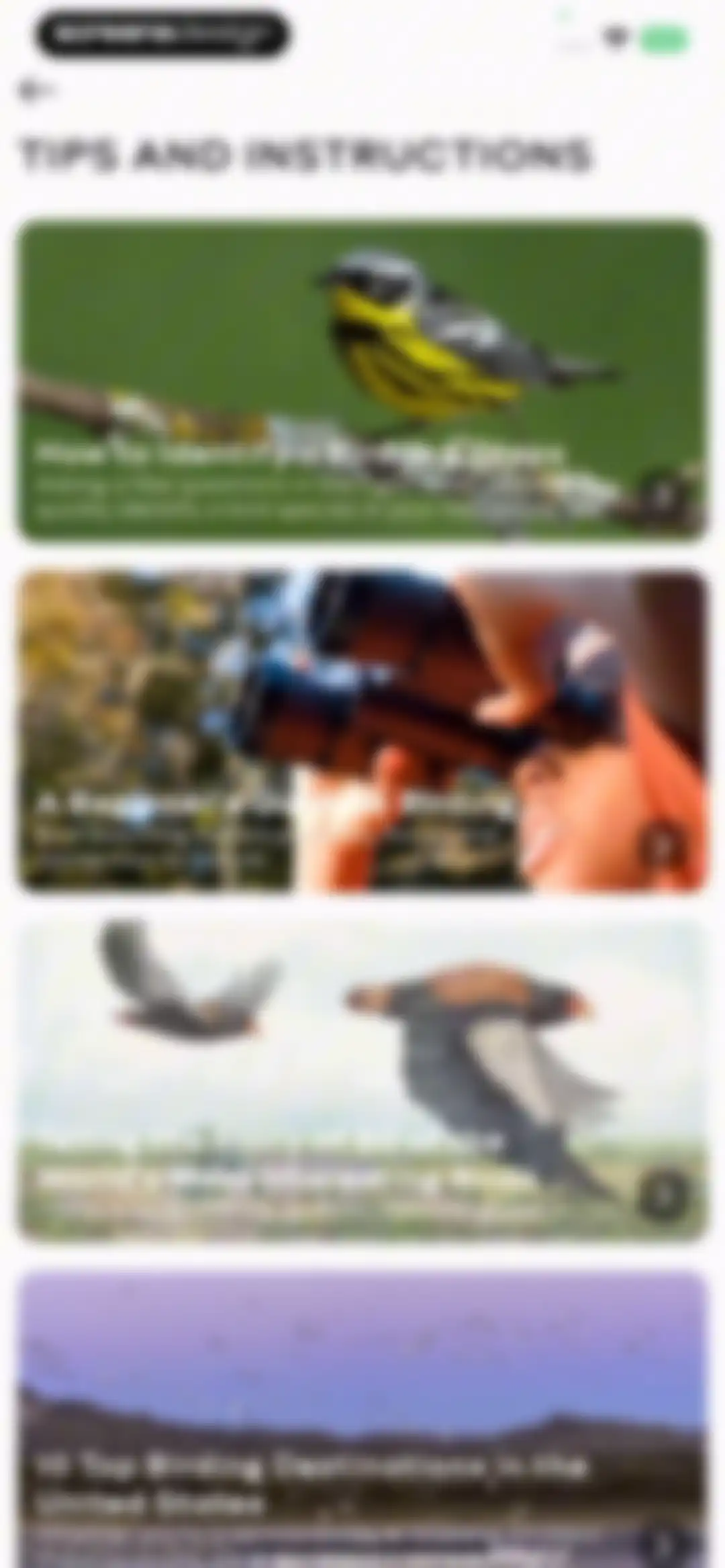 Bird Sounds Identifier Call ID screen 30