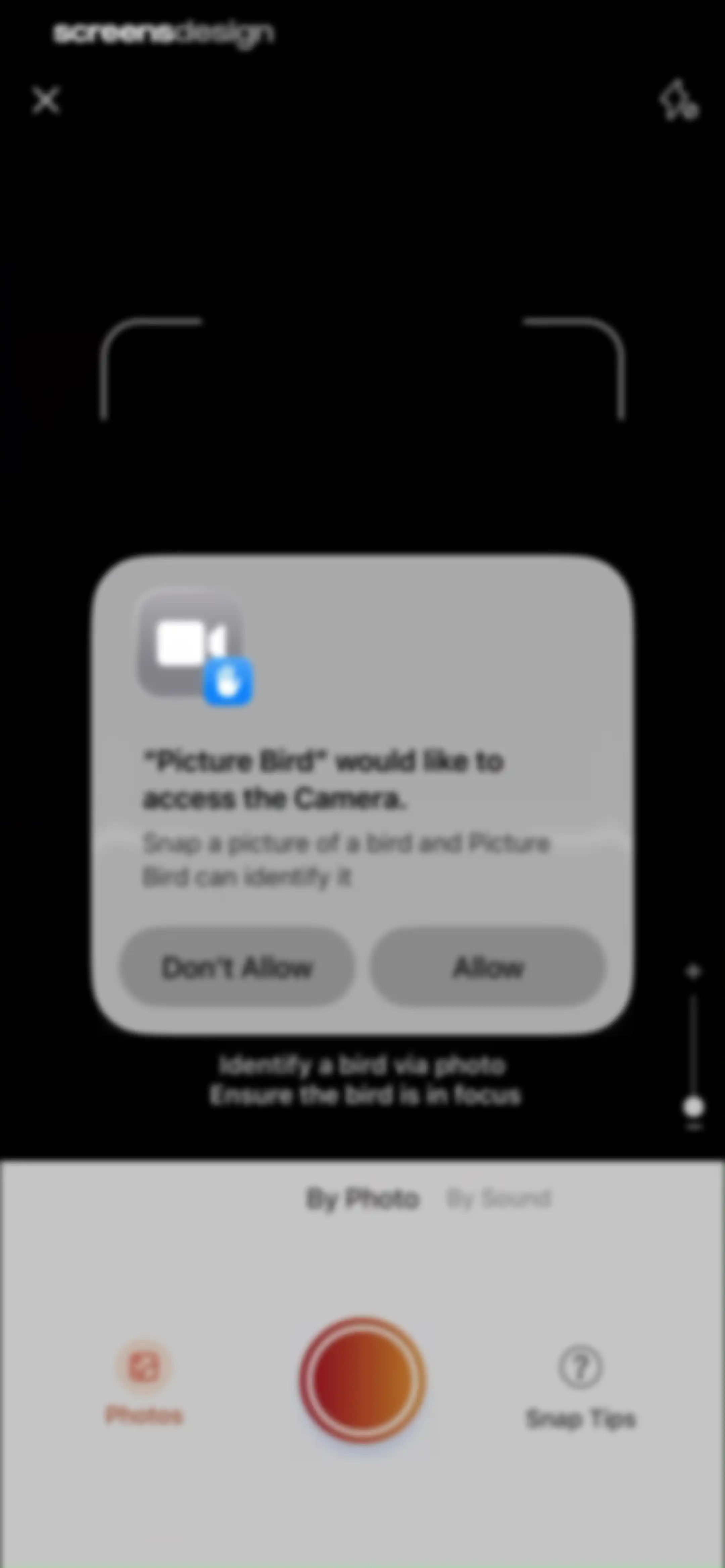Picture Bird: Bird identifier screen 26