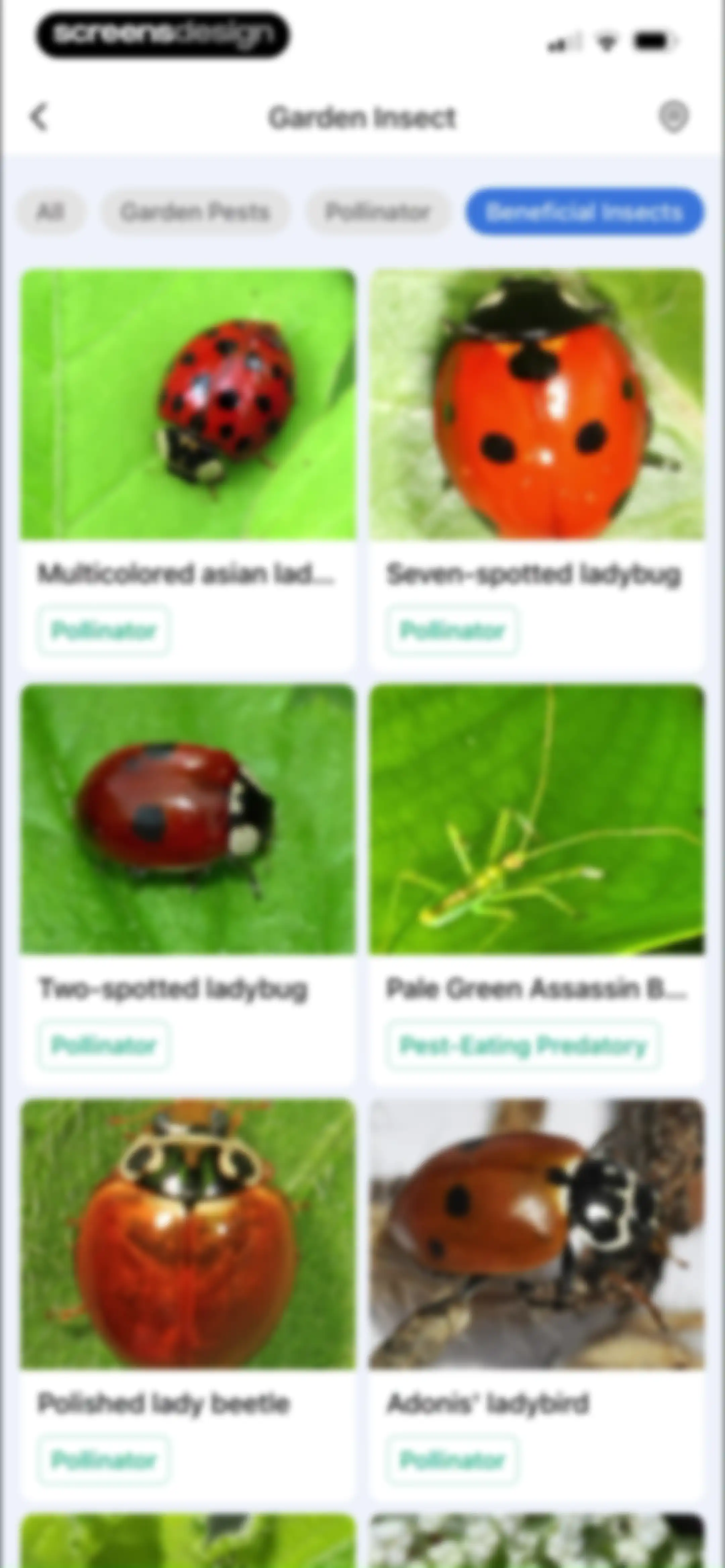 Picture Insect: Bug Identifier screen 73