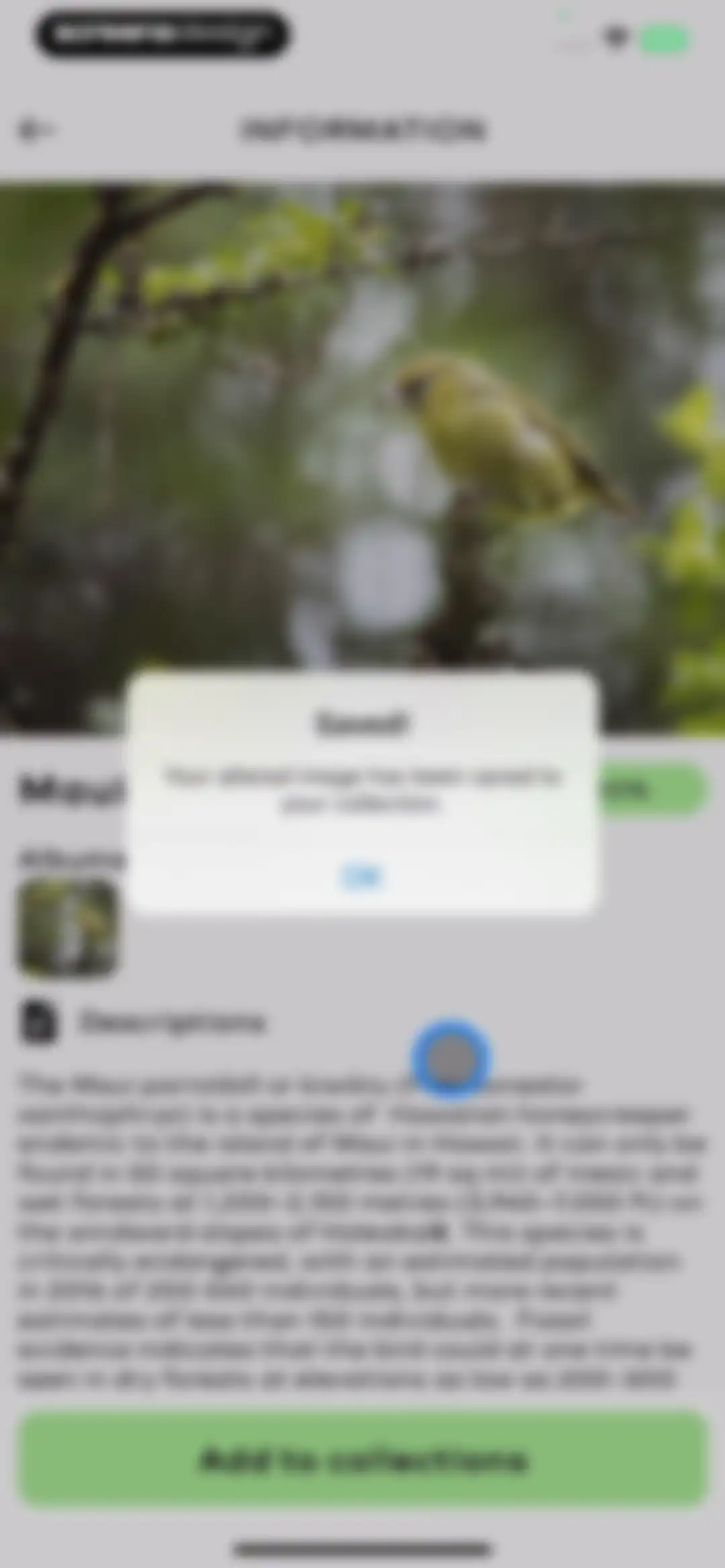 Bird Sounds Identifier Call ID screen 38