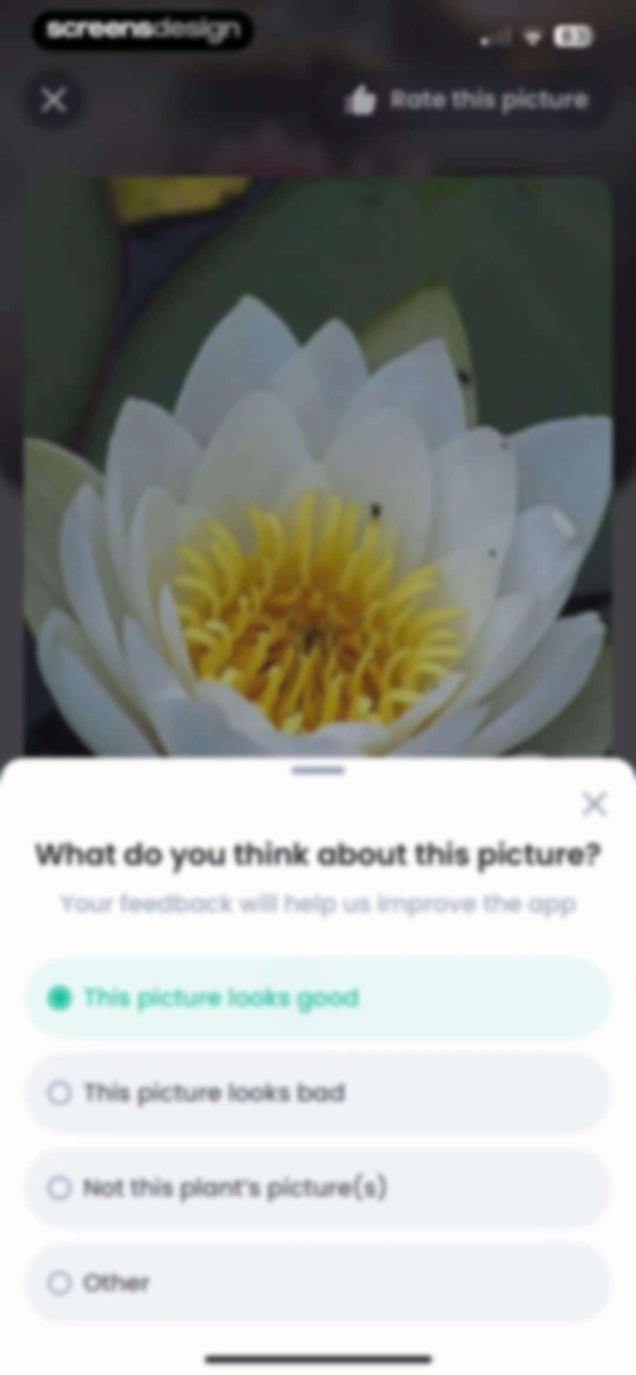 PlantIn: Plant Identifier・Care screen 40