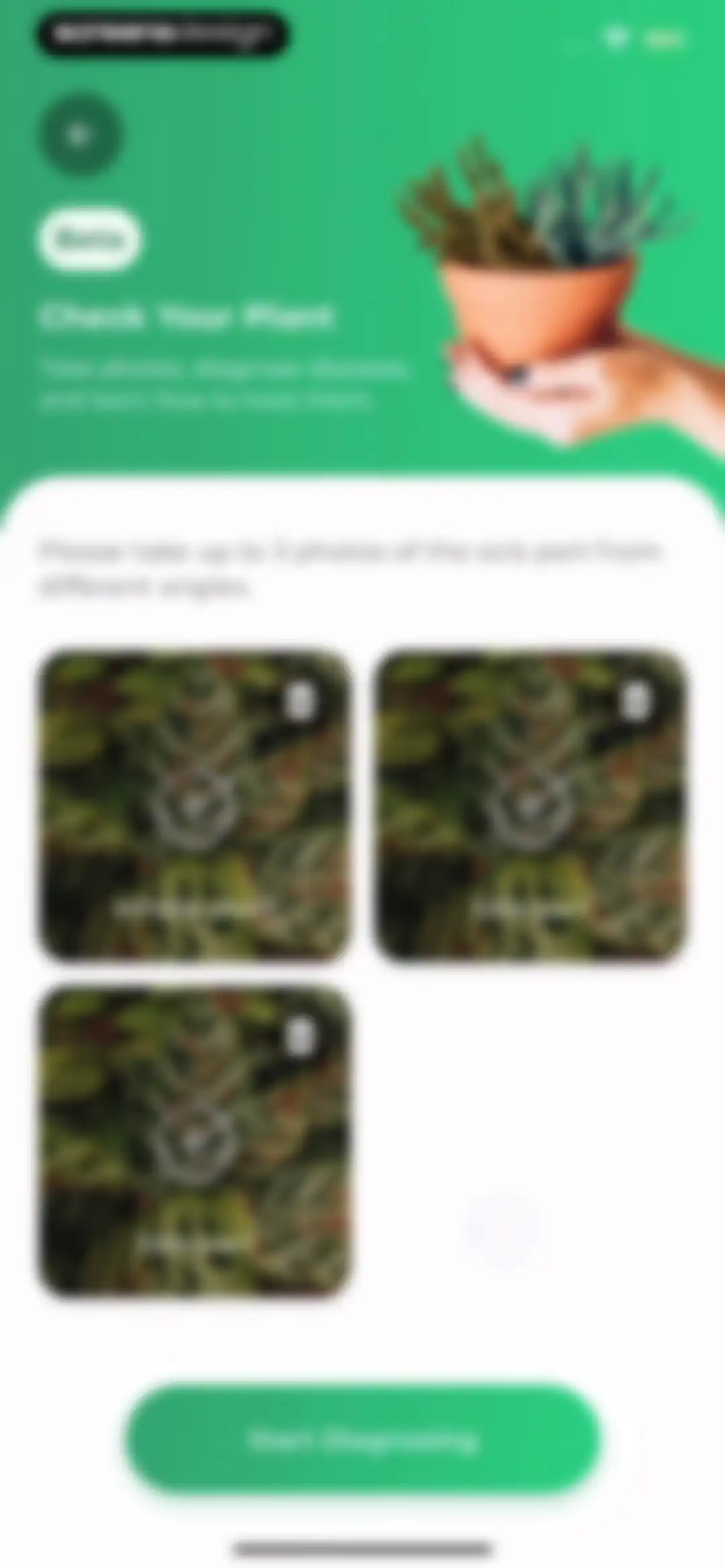 Plant Identifier: LeafSnap screen 34