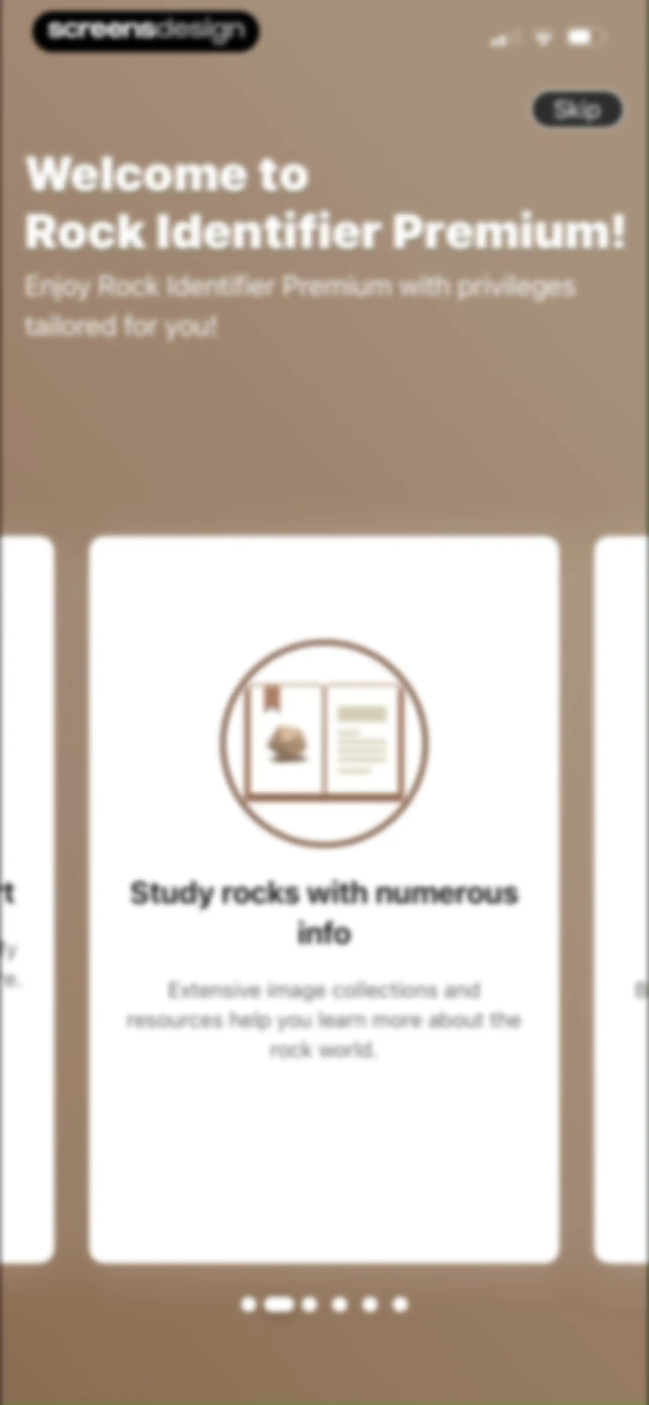 Rock Identifier: Stone ID screen 18