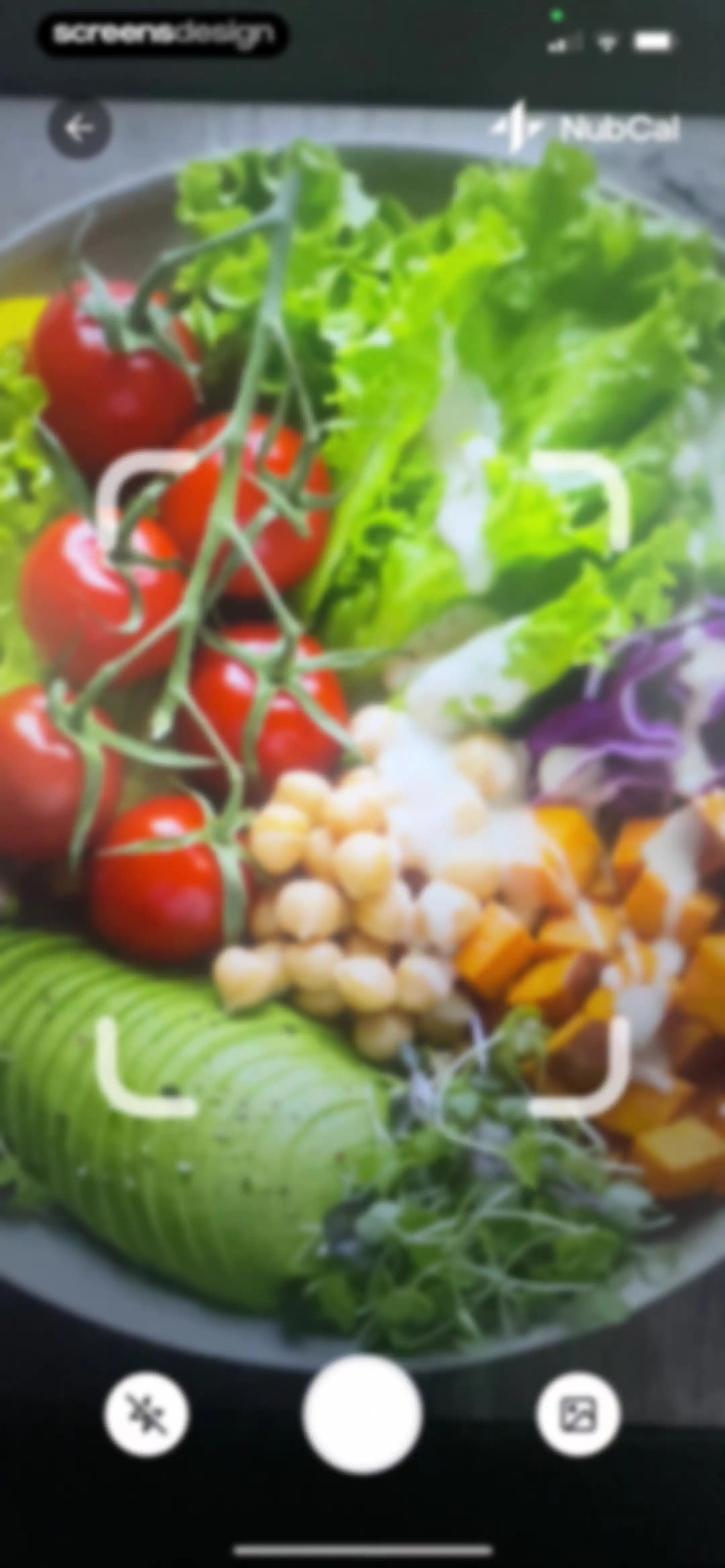 NubCal: AI Calorie Counter screen 35