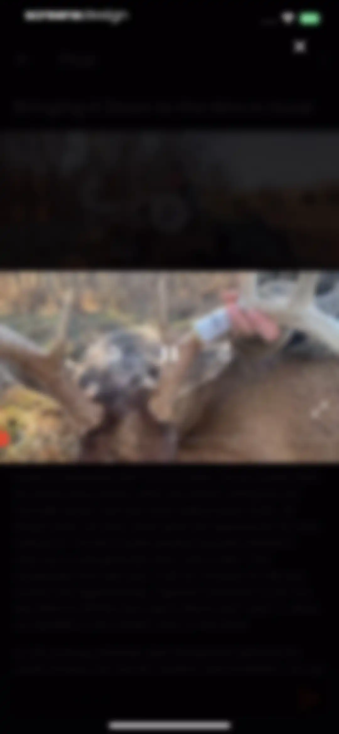 DeerCast-Prep. Predict. Pursue screen 21