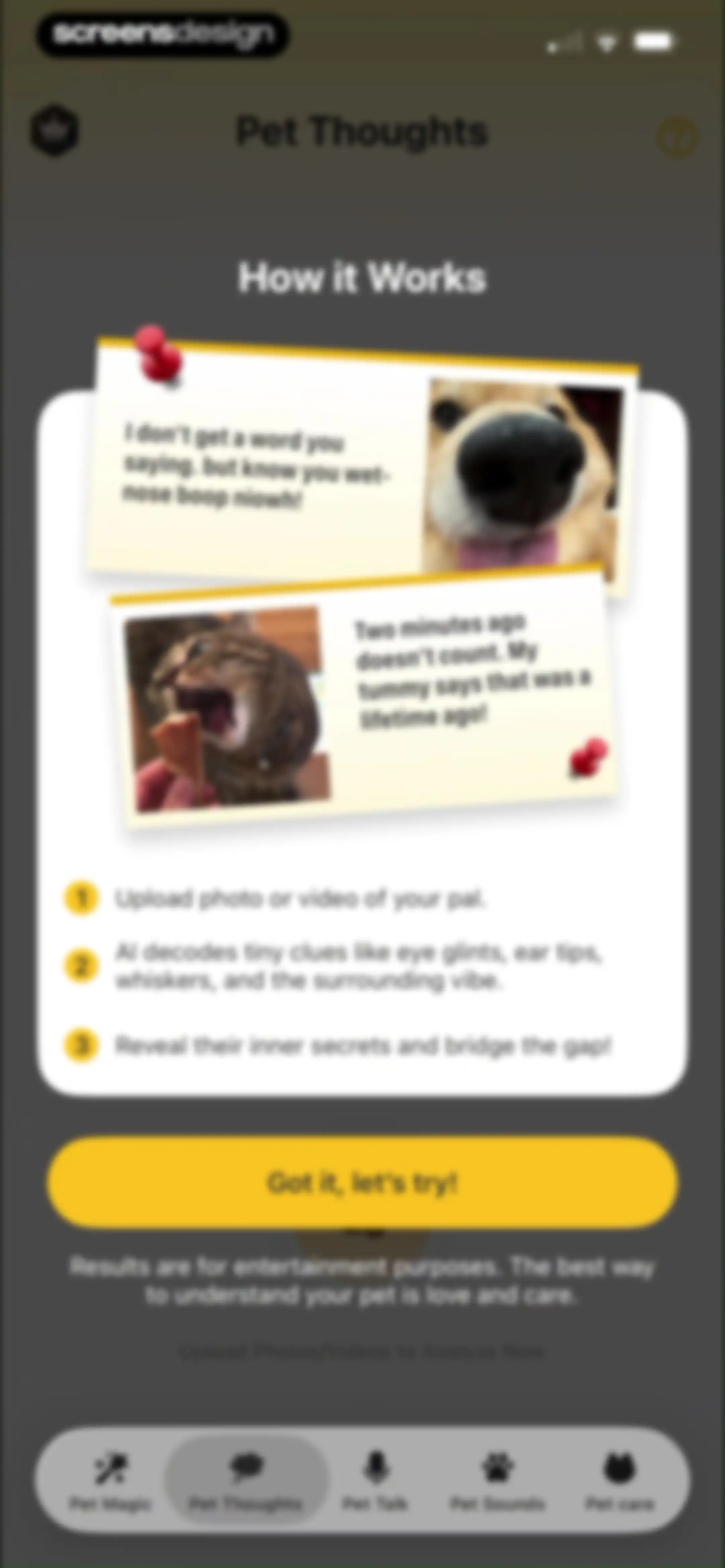 Pet Chat: Cat & Dog Translator screen 45