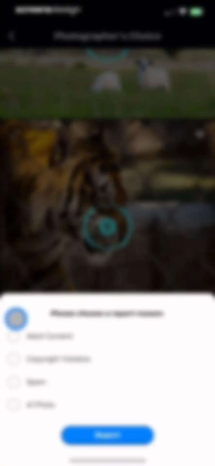 GuruShots: Photography Game screen 16