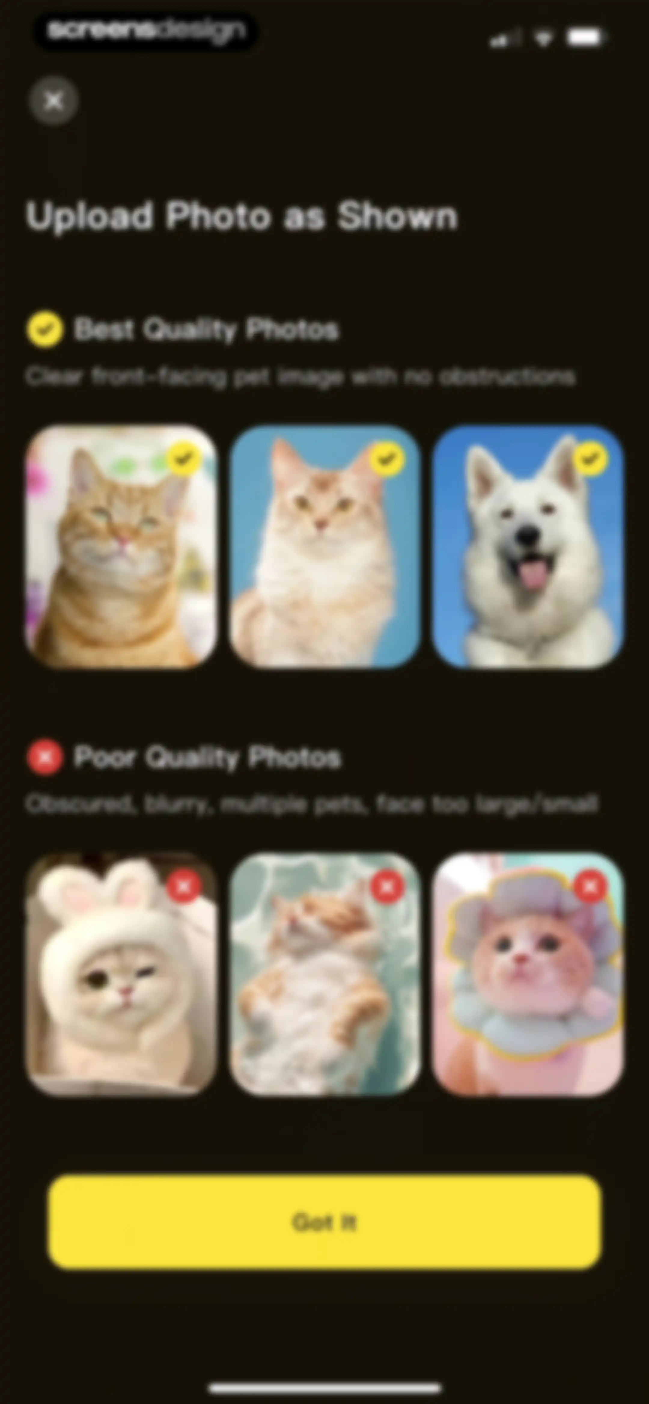 PetFun-Pet Talk & Camera screen 27