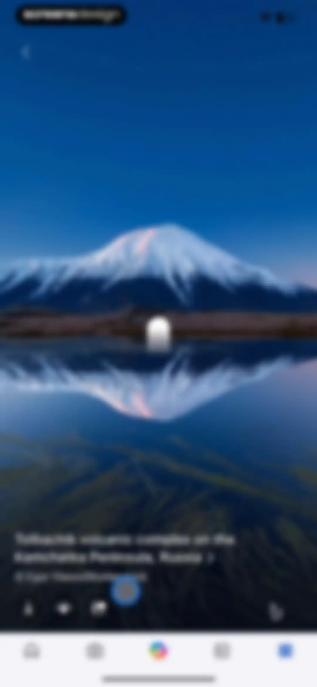 Microsoft Bing Search screen 261