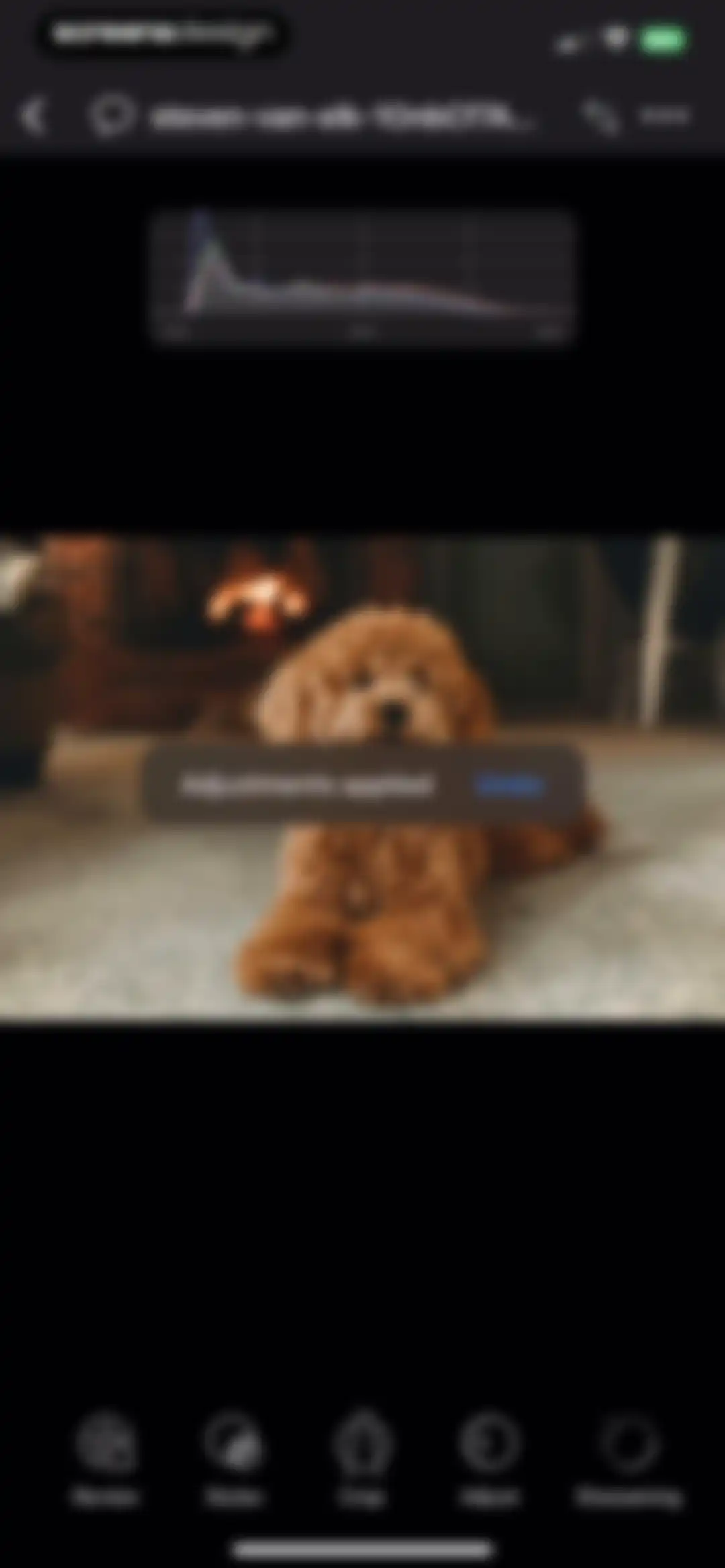 Capture One screen 49