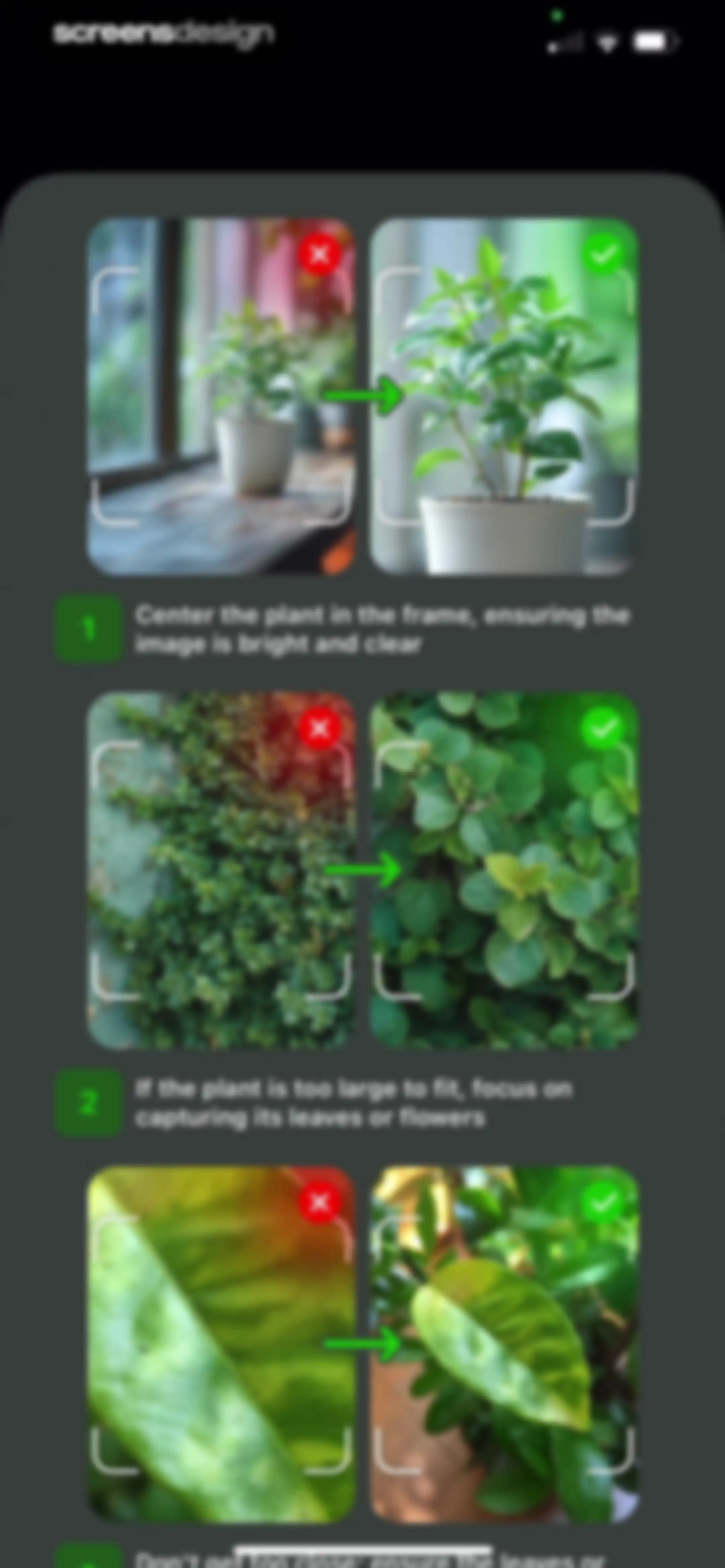 Plant Identifier & Care App screen 19