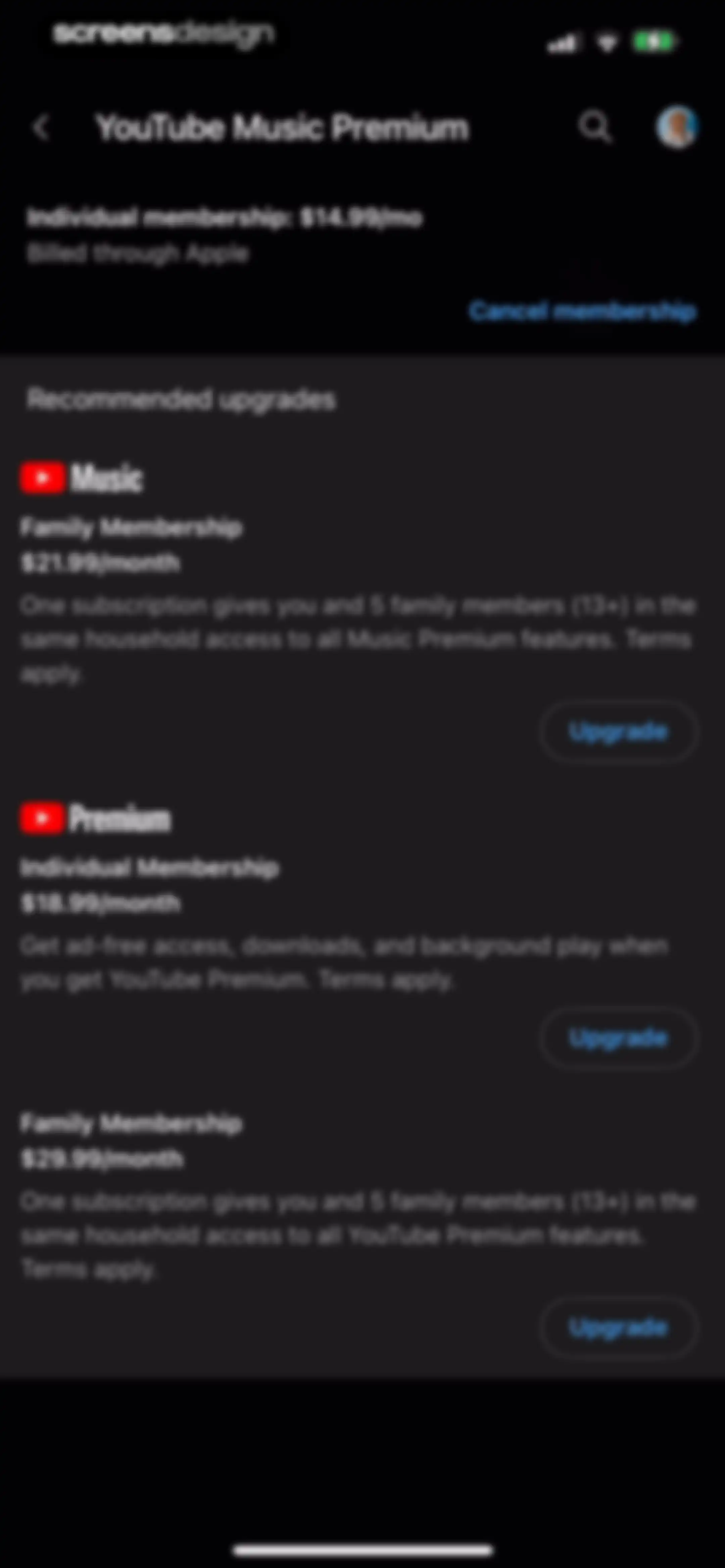 YouTube Music screen 181
