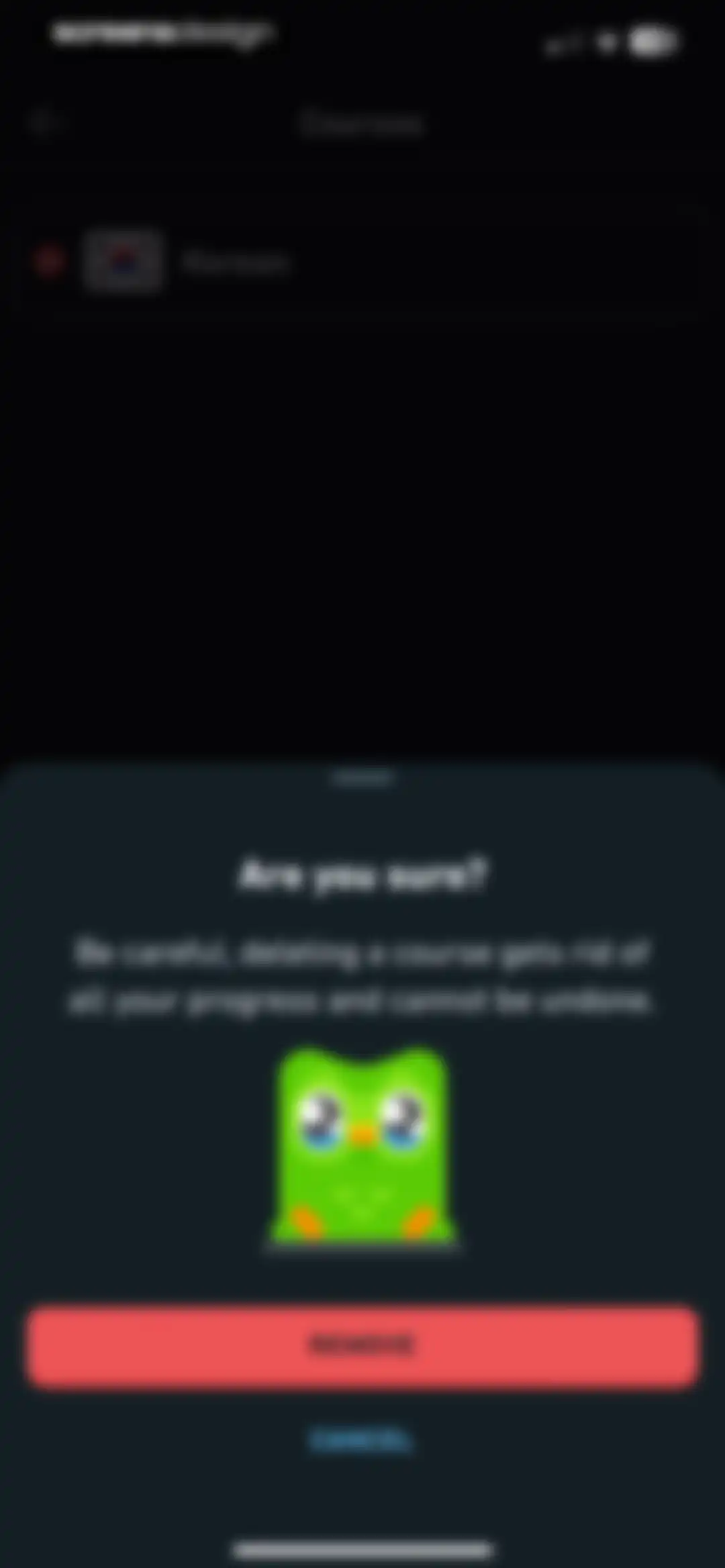 Duolingo: Language Lessons screen 182