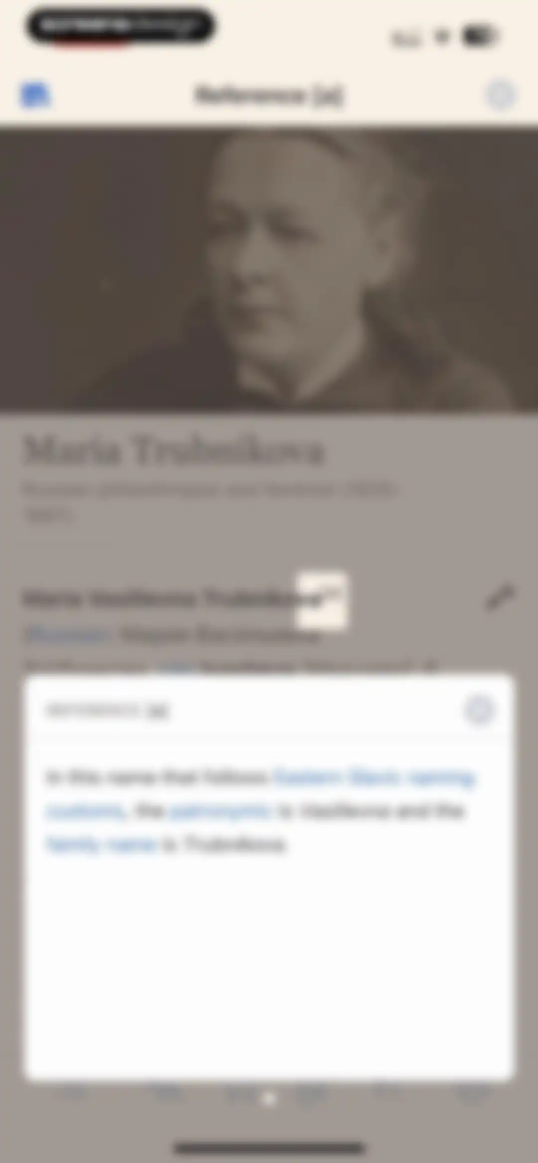 Wikipedia screen 21