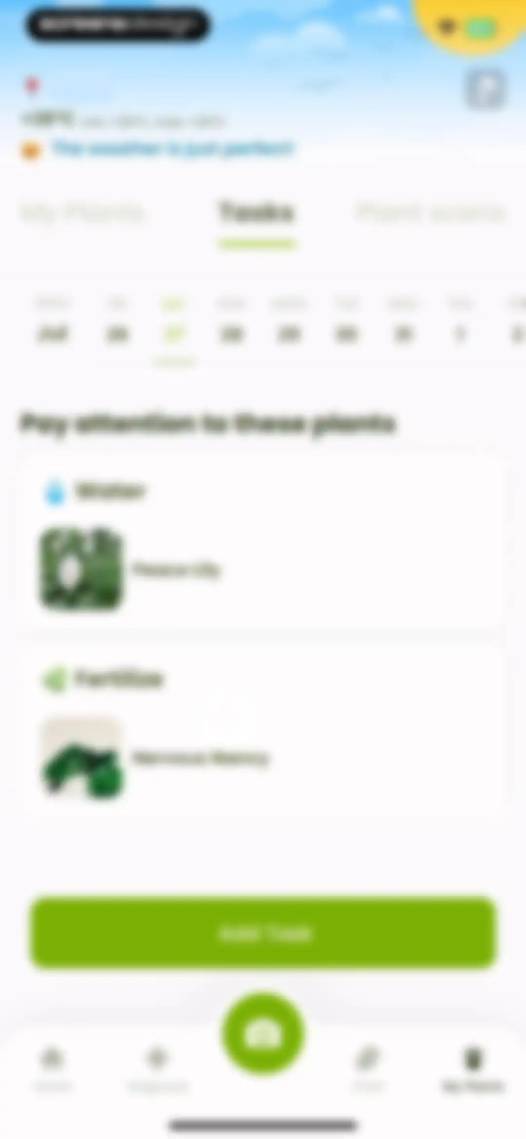 Plant Identifier & Care: Ficus screen 113