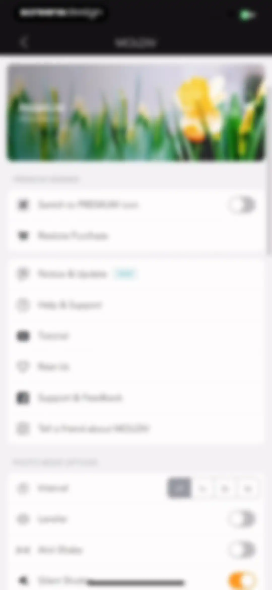 MOLDIV Photo Editor, Collage screen 111