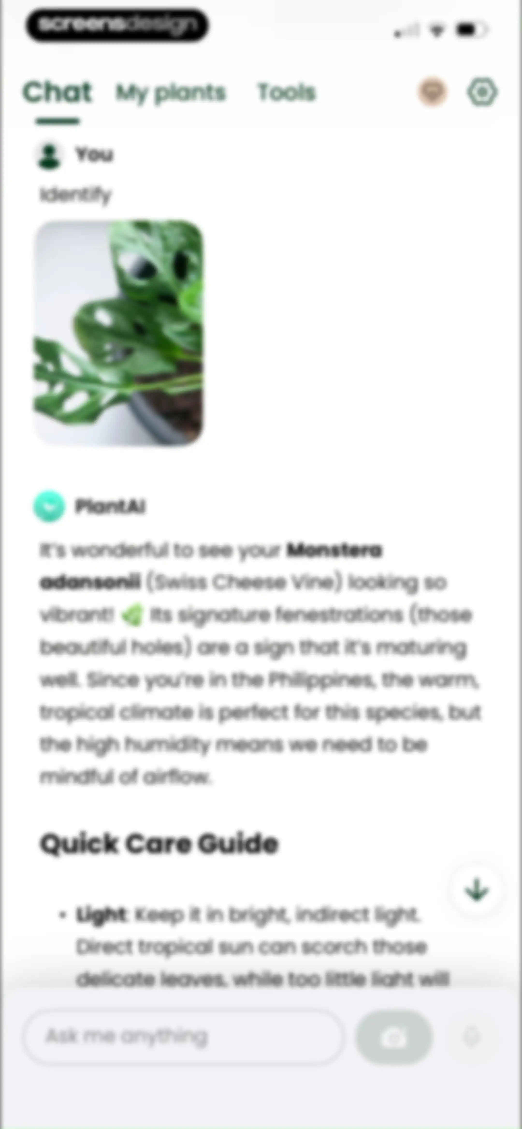 PlantAI: Identifier & Diagnose screen 54