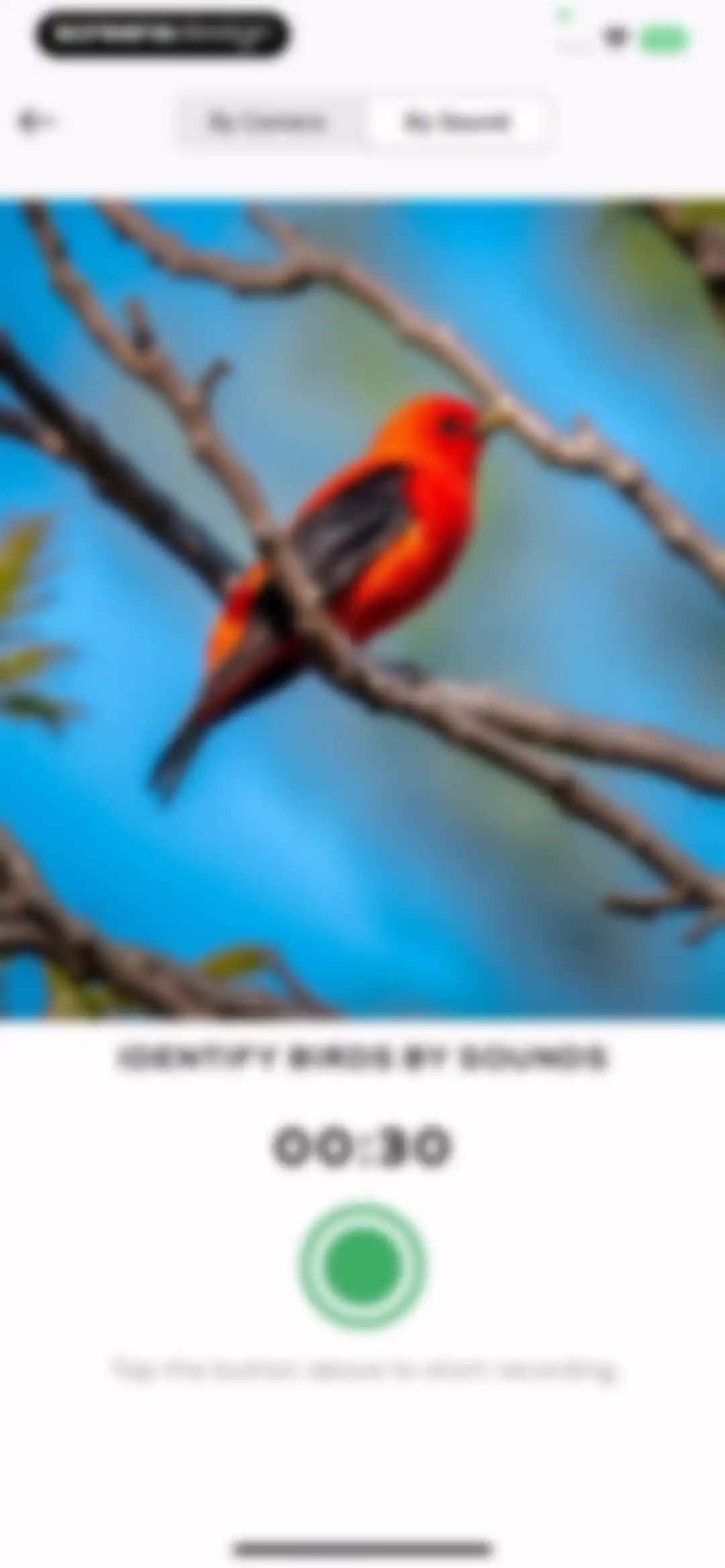 Bird Sounds Identifier Call ID screen 23