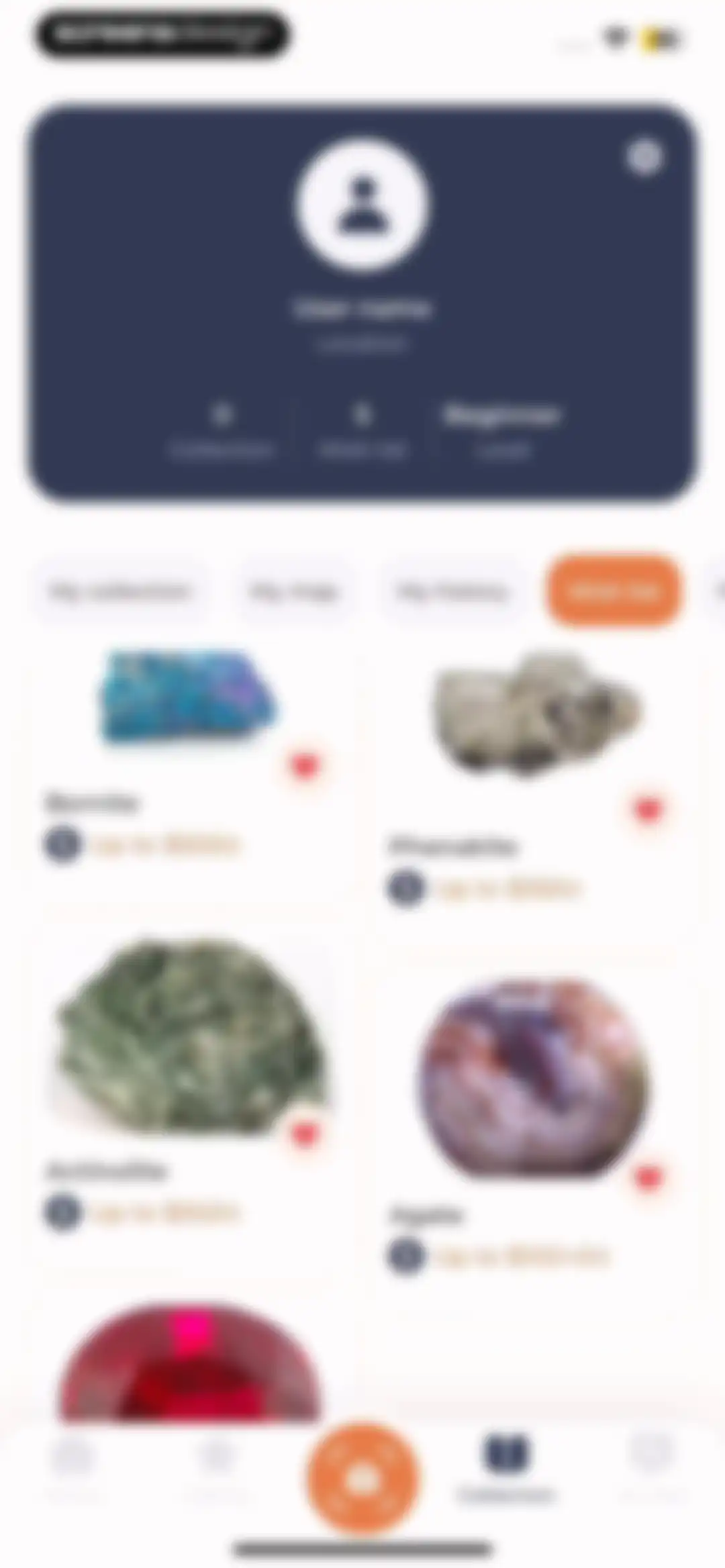 Stone Identifier: Rock Scanner screen 91