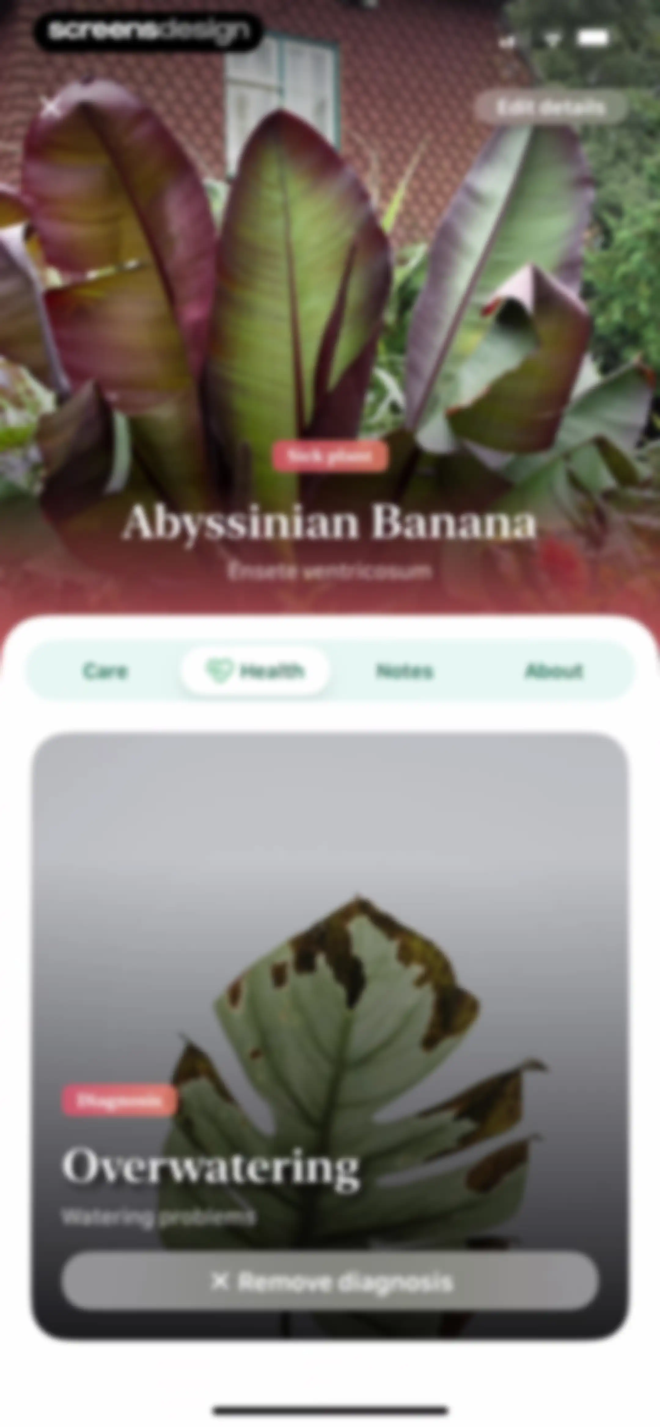 Blossom - Plant Care Guide screen 82
