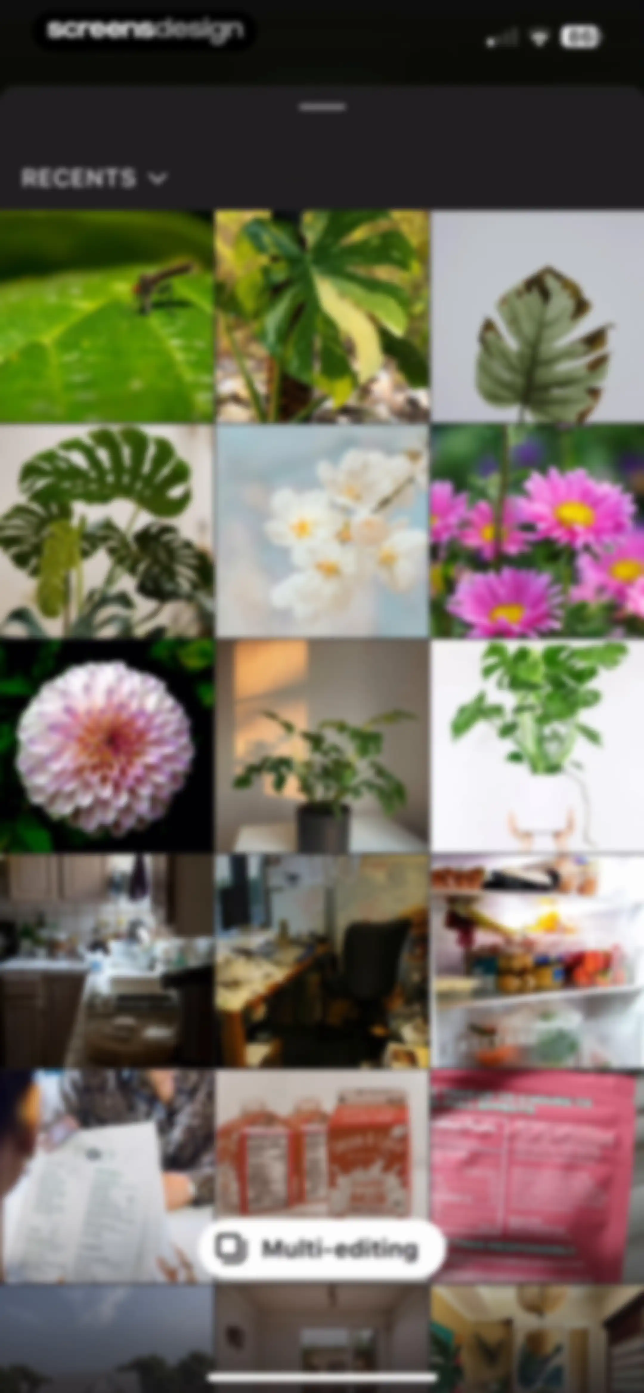 Prequel: Photo & Video Editor screen 80