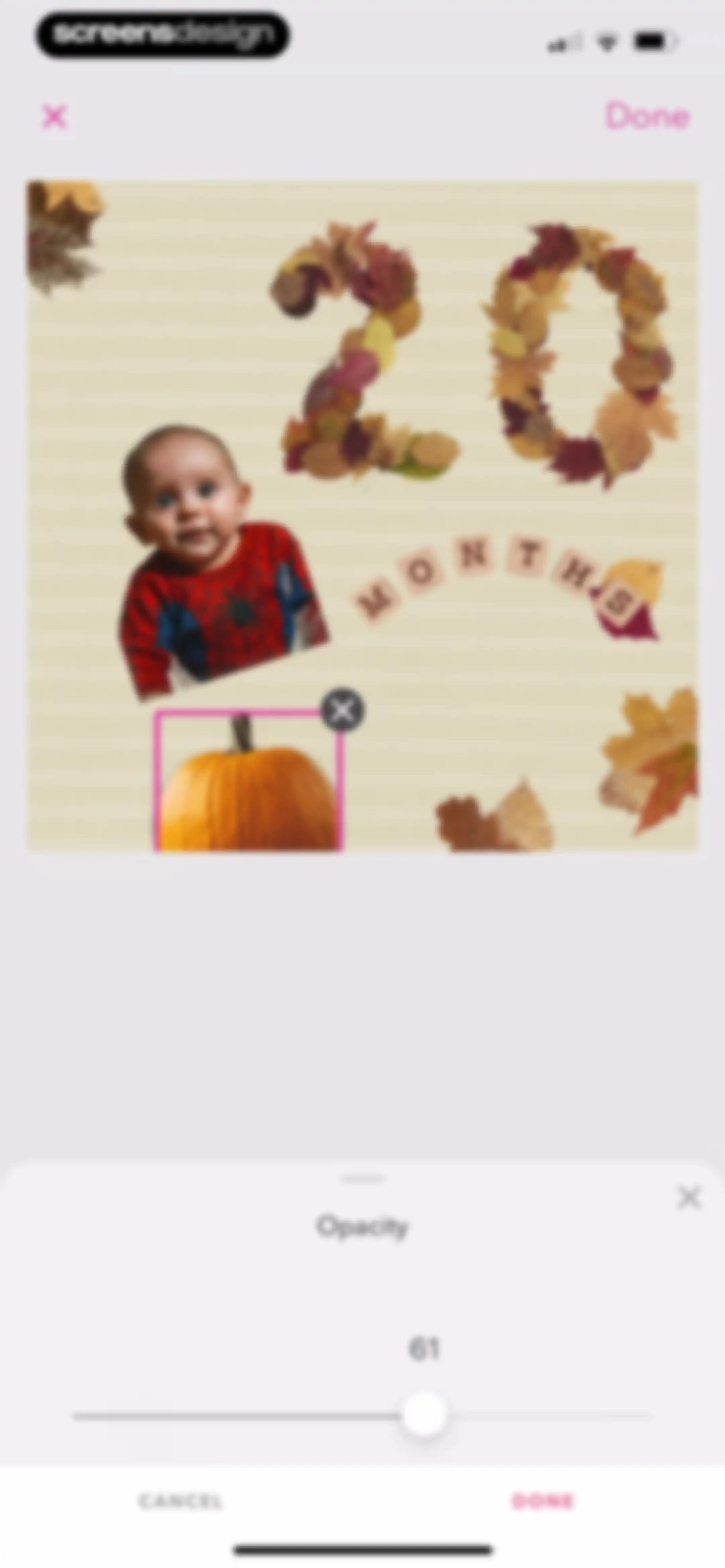 Precious - Baby Photo Art screen 67