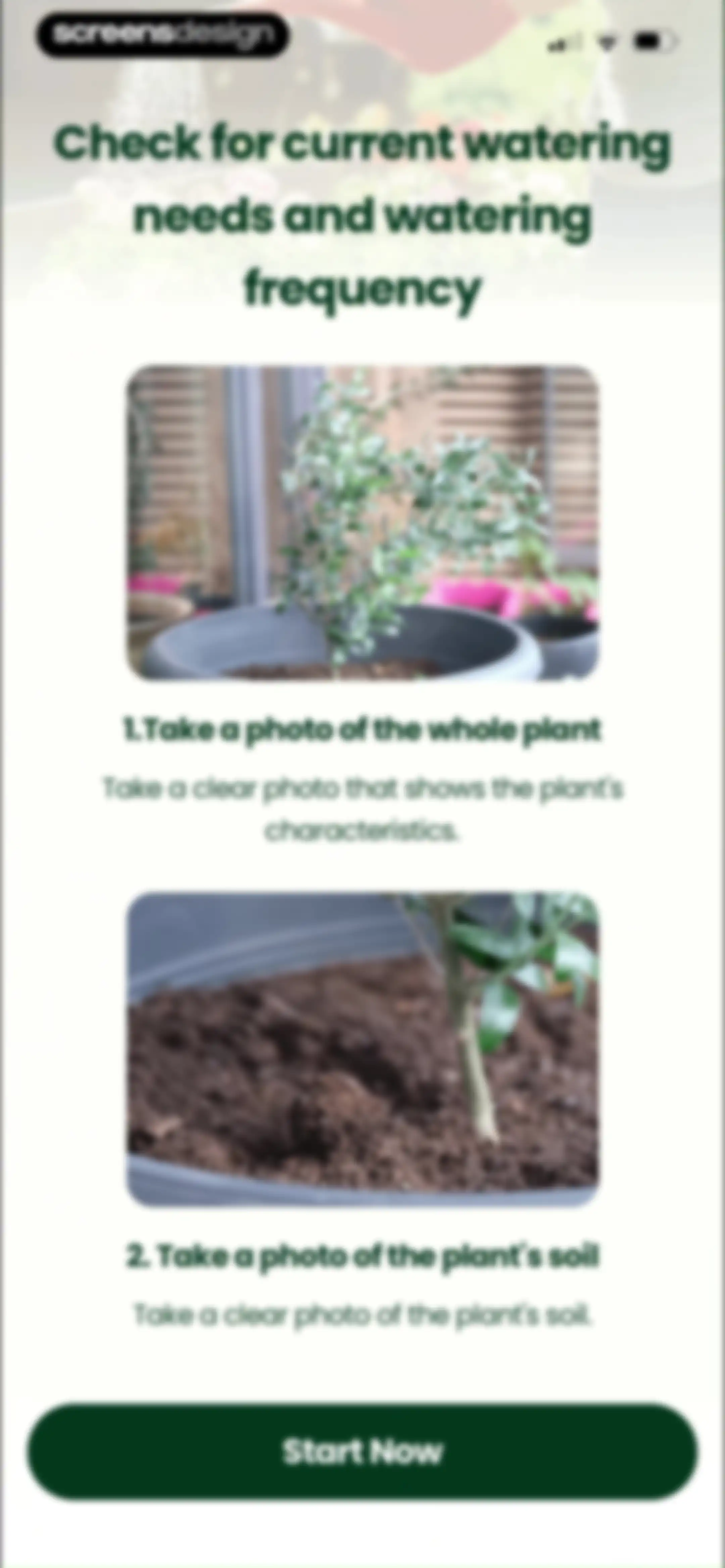 PlantAI: Identifier & Diagnose screen 84