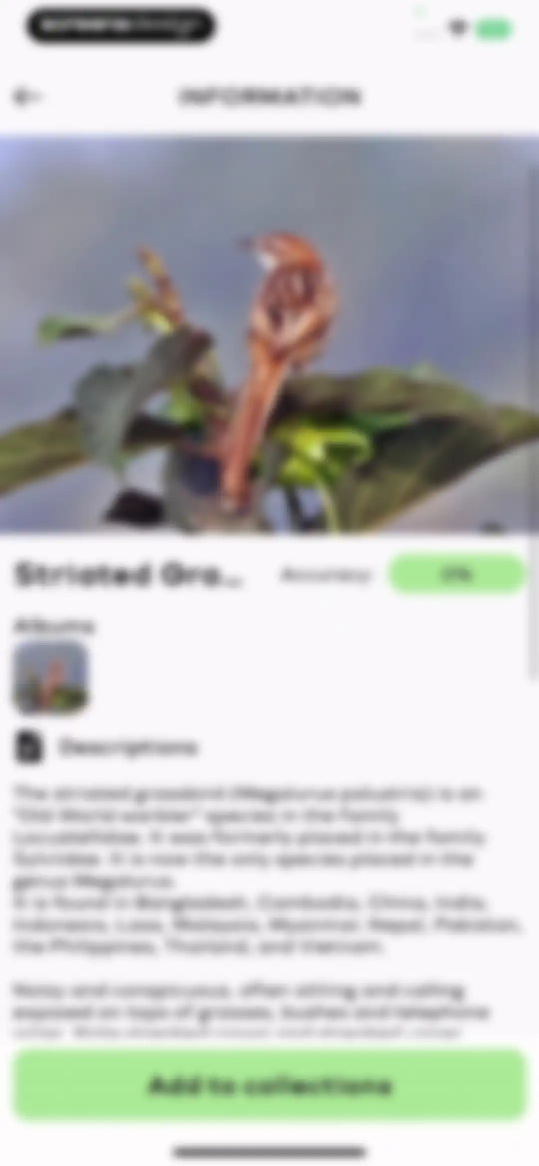 Bird Sounds Identifier Call ID screen 28