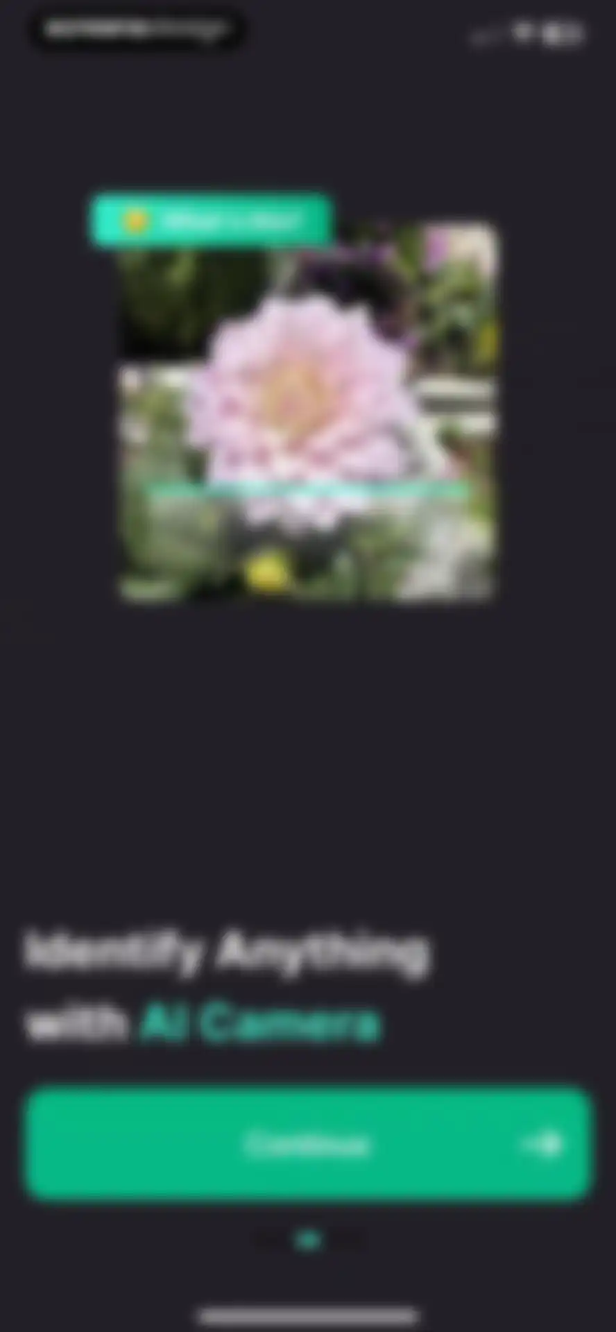 AI+ Chat & Al Video Generator screen 5