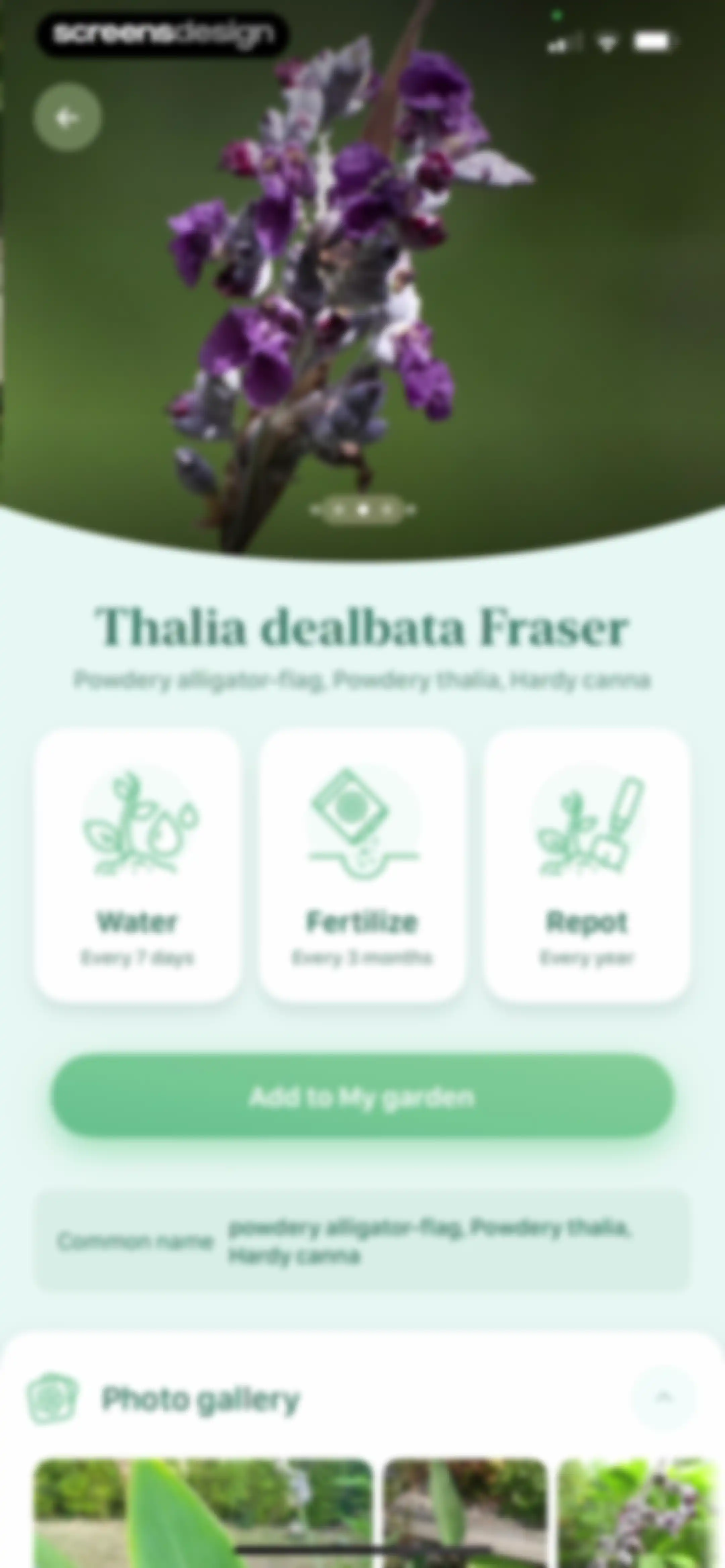 Blossom - Plant Care Guide screen 103