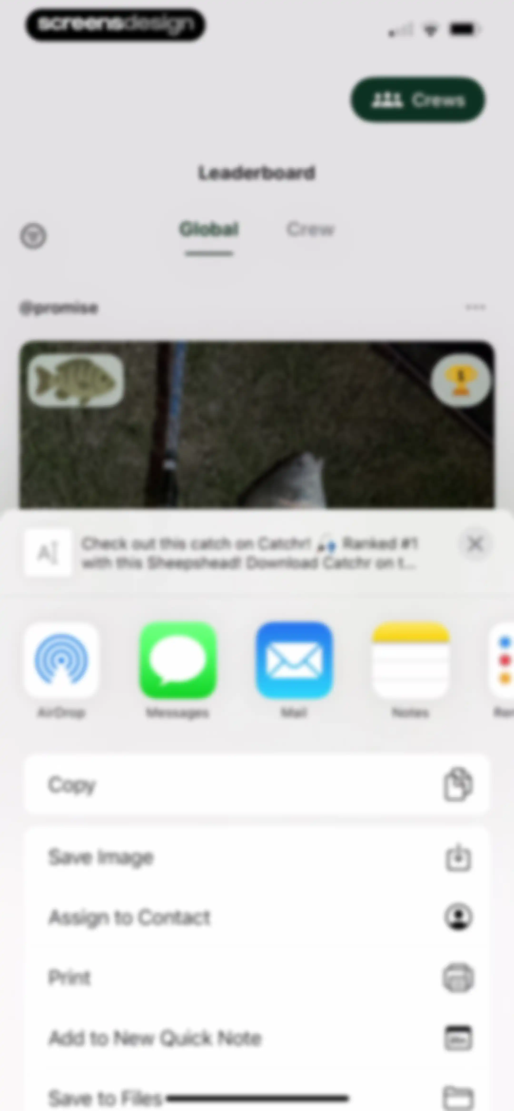 Catchr: Fish Identifier screen 50