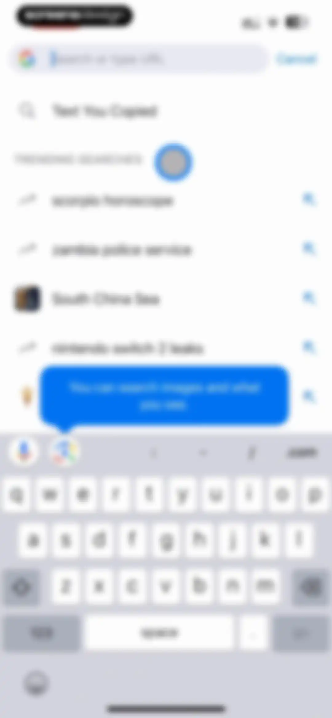 Google Chrome screen 8