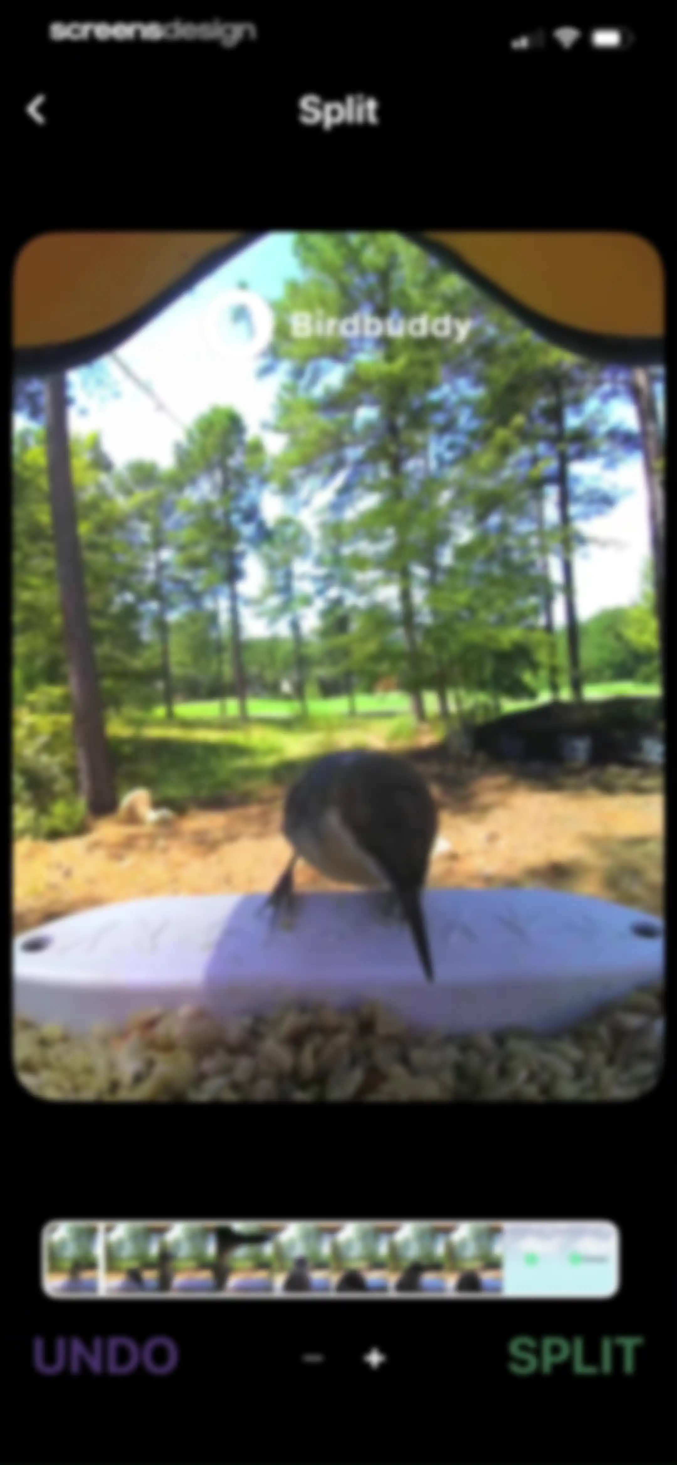 Swipewipe: Photo Cleaner screen 88