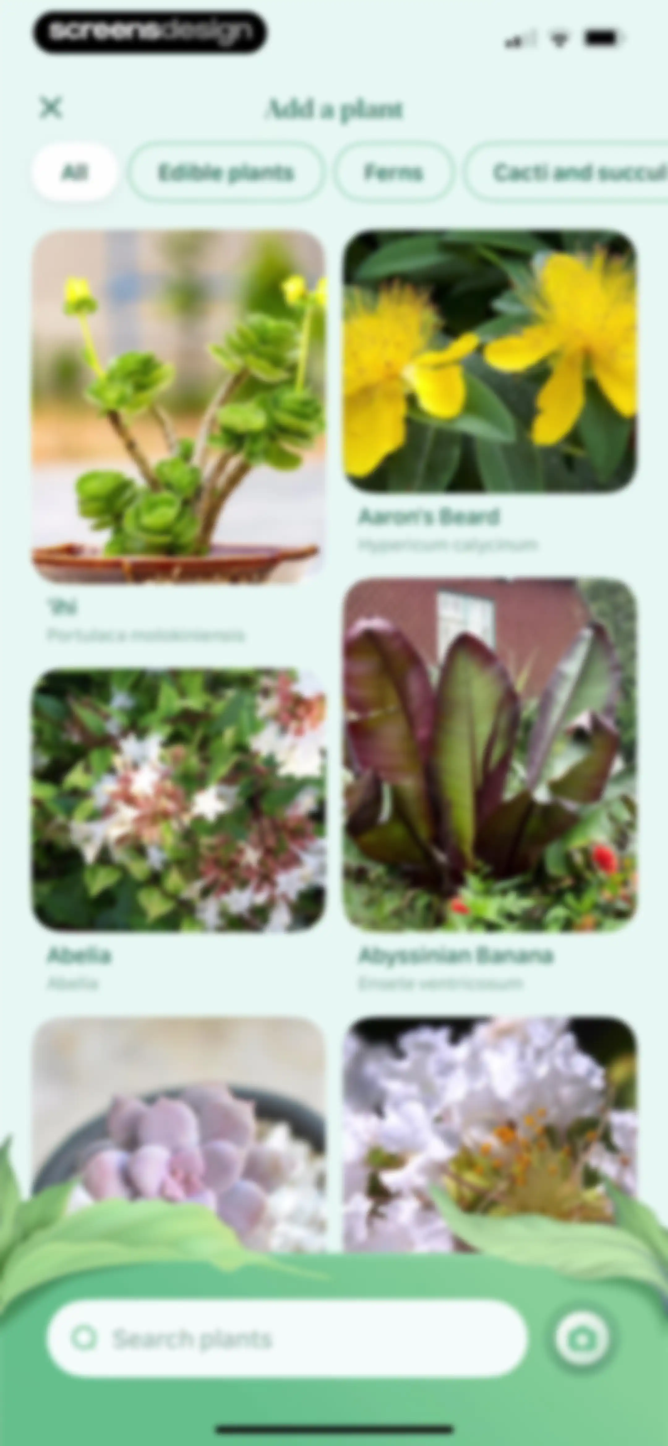 Blossom - Plant Care Guide screen 31