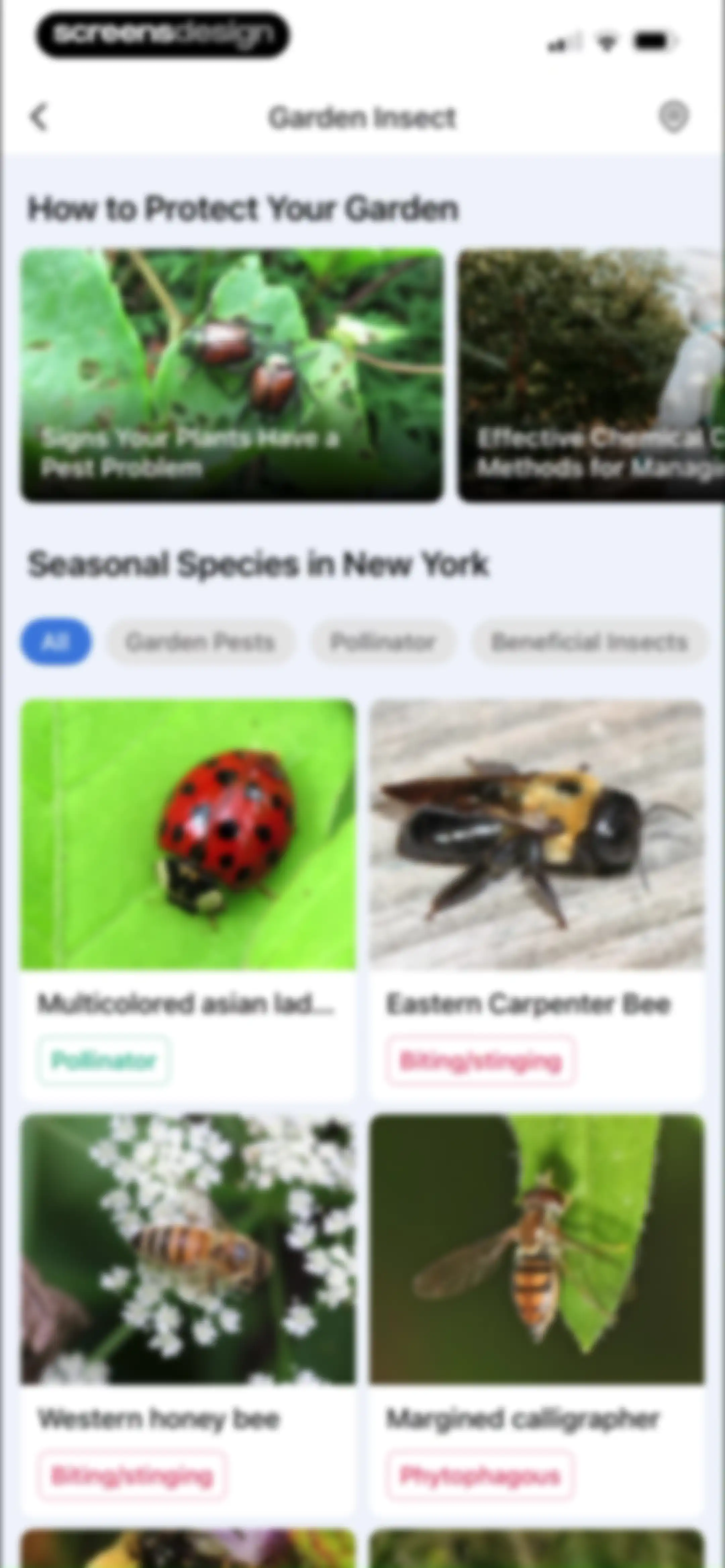 Picture Insect: Bug Identifier screen 71