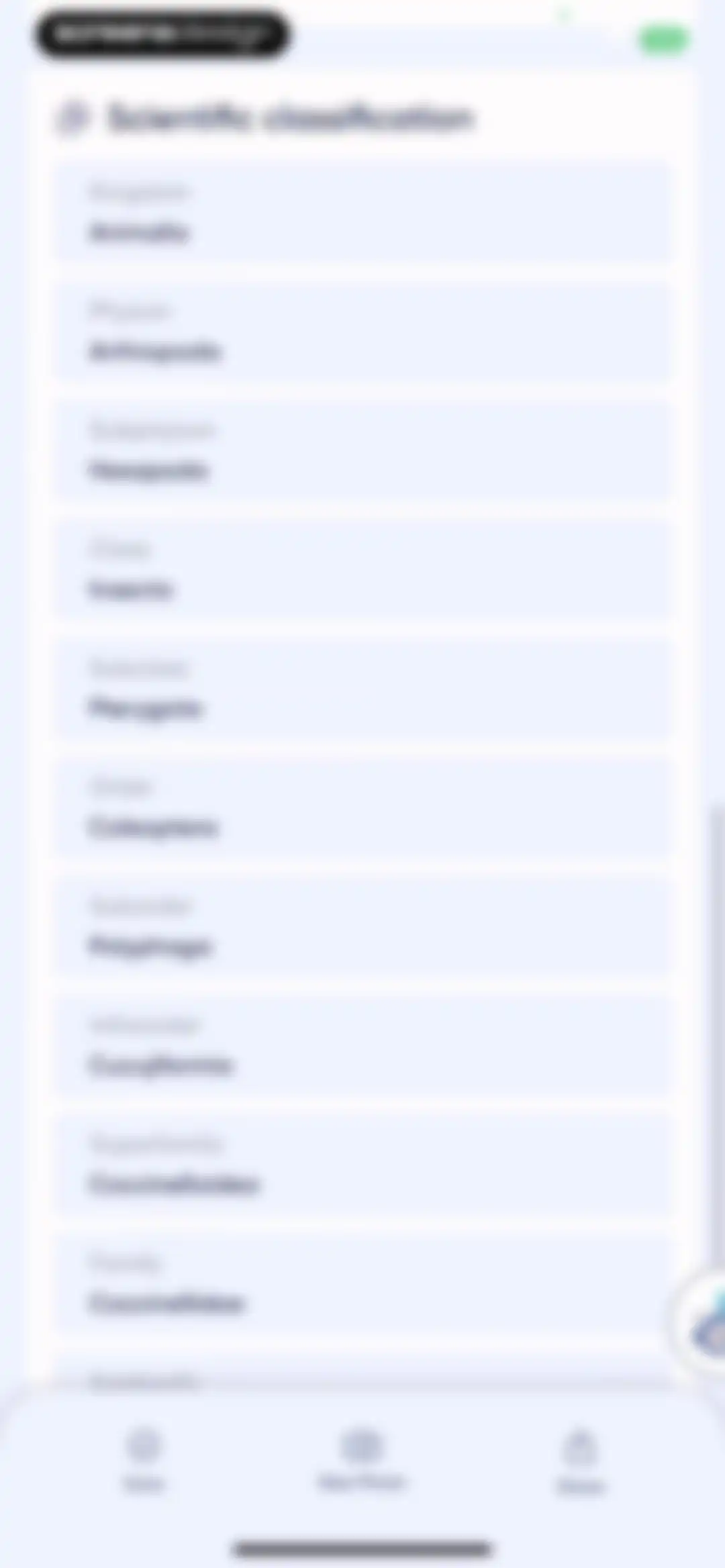 Bug Identifier: AI Insect id screen 38