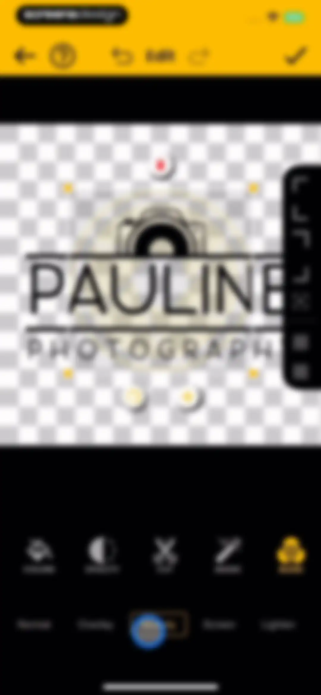 Watermark Maker: Add Signature screen 15