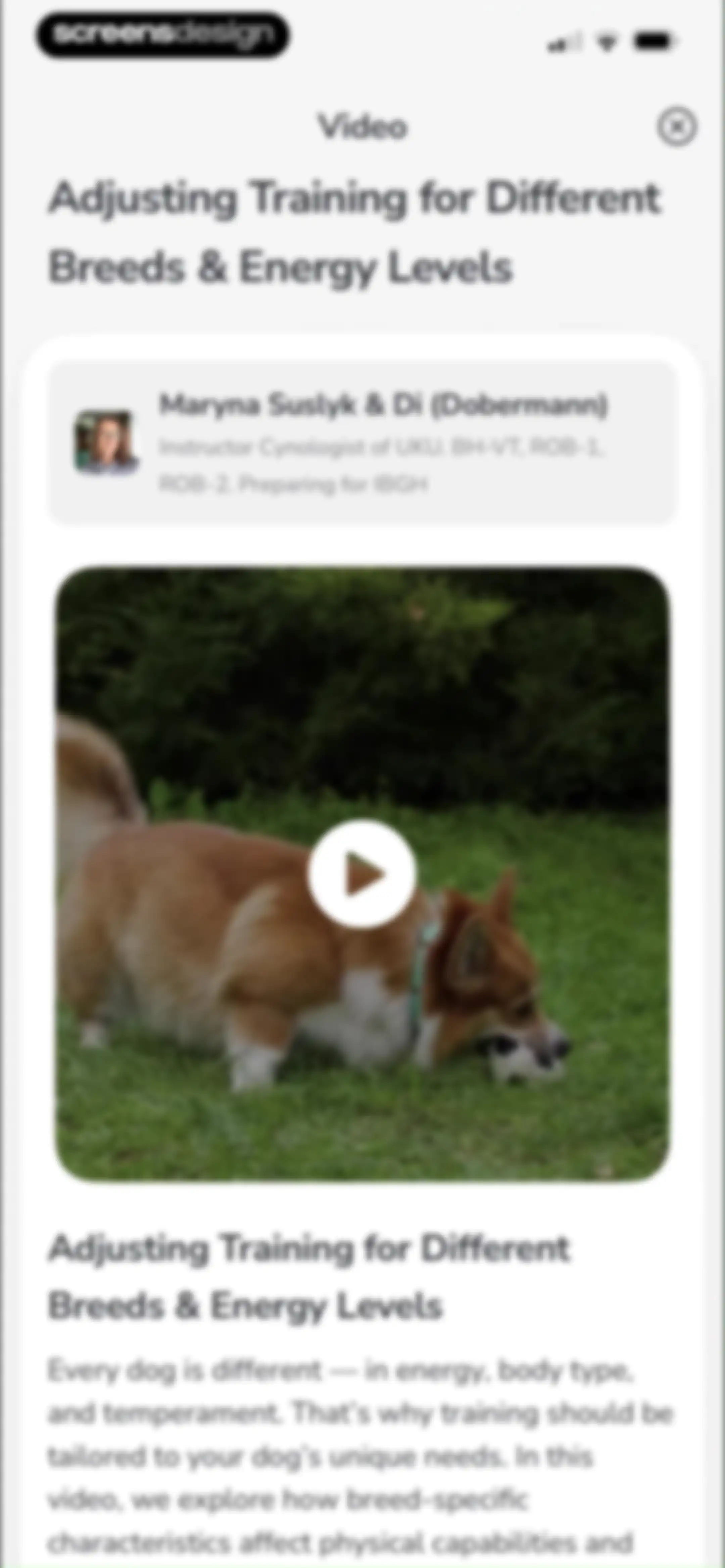 PawChamp - Dog Training & Care screen 74