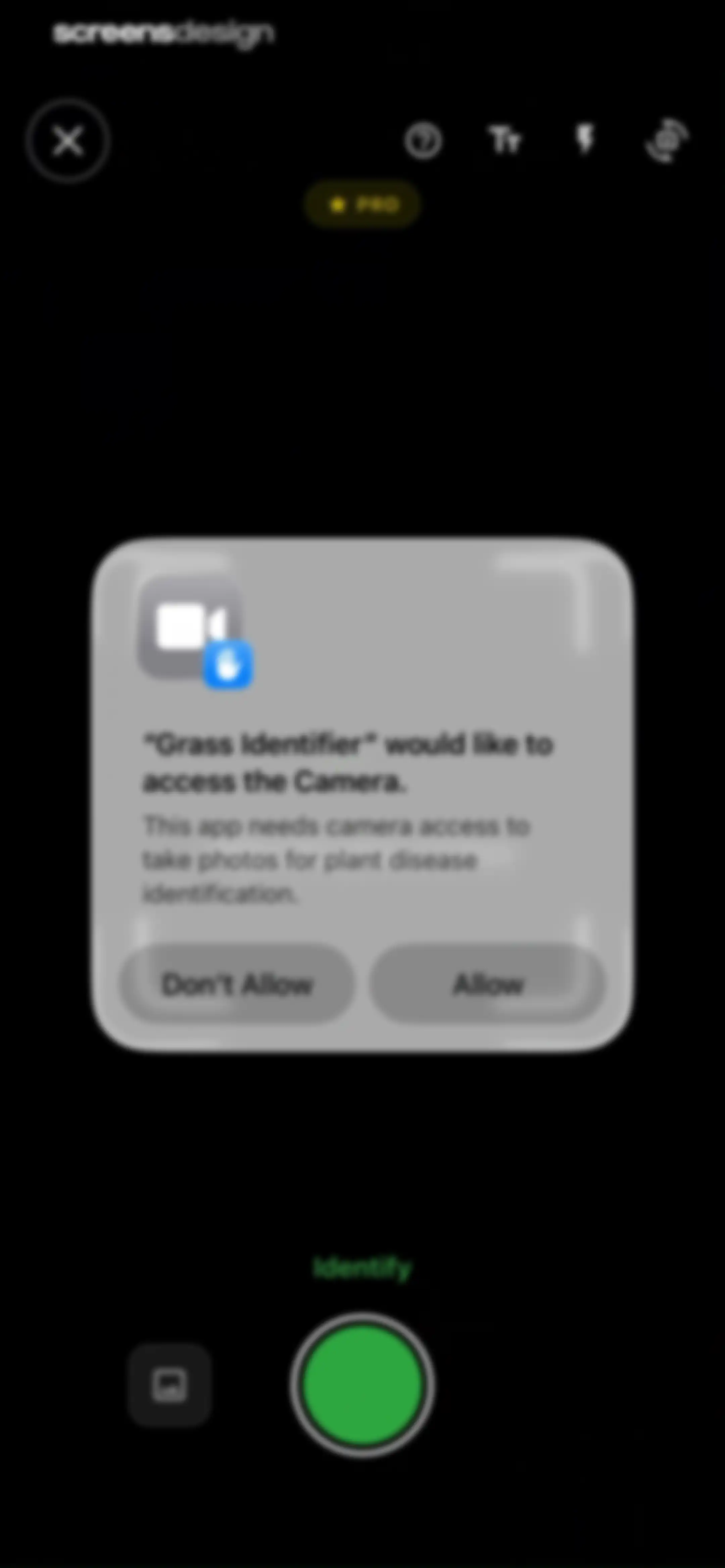 Grass Identifier: AI Scan screen 17