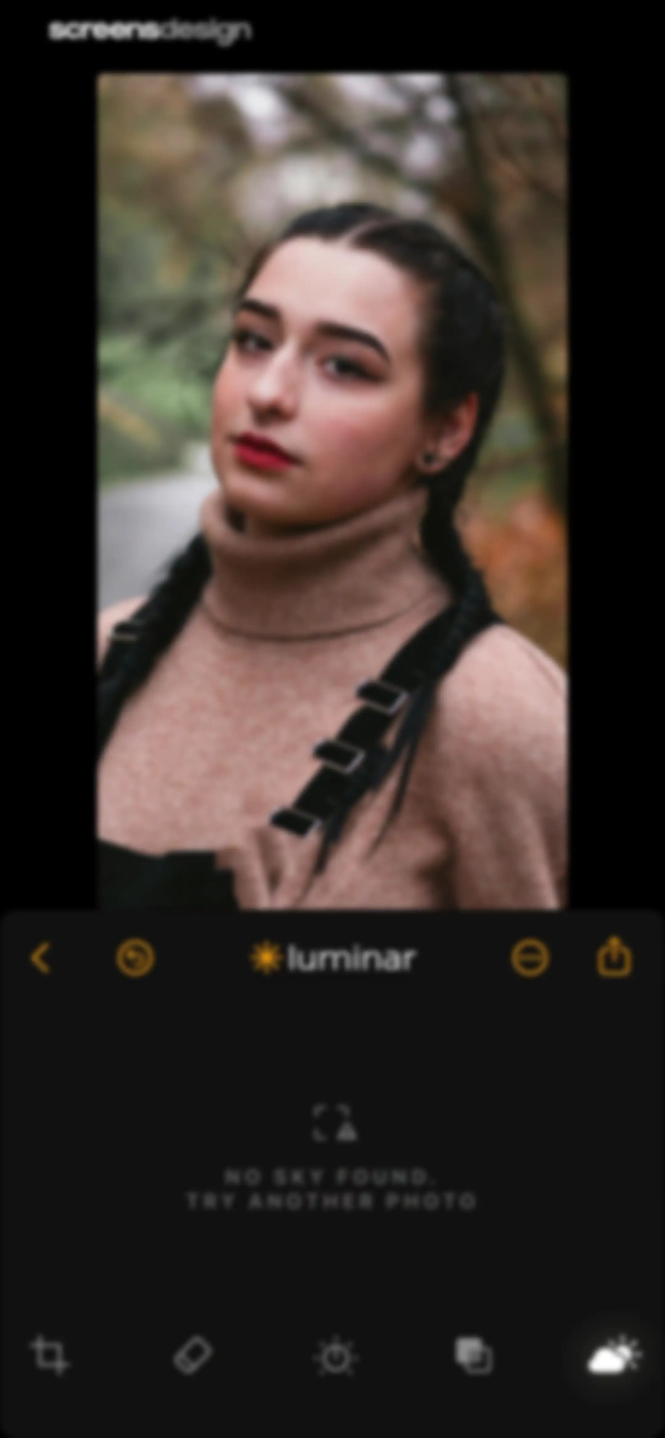Luminar: Image Editor&Enhancer screen 45