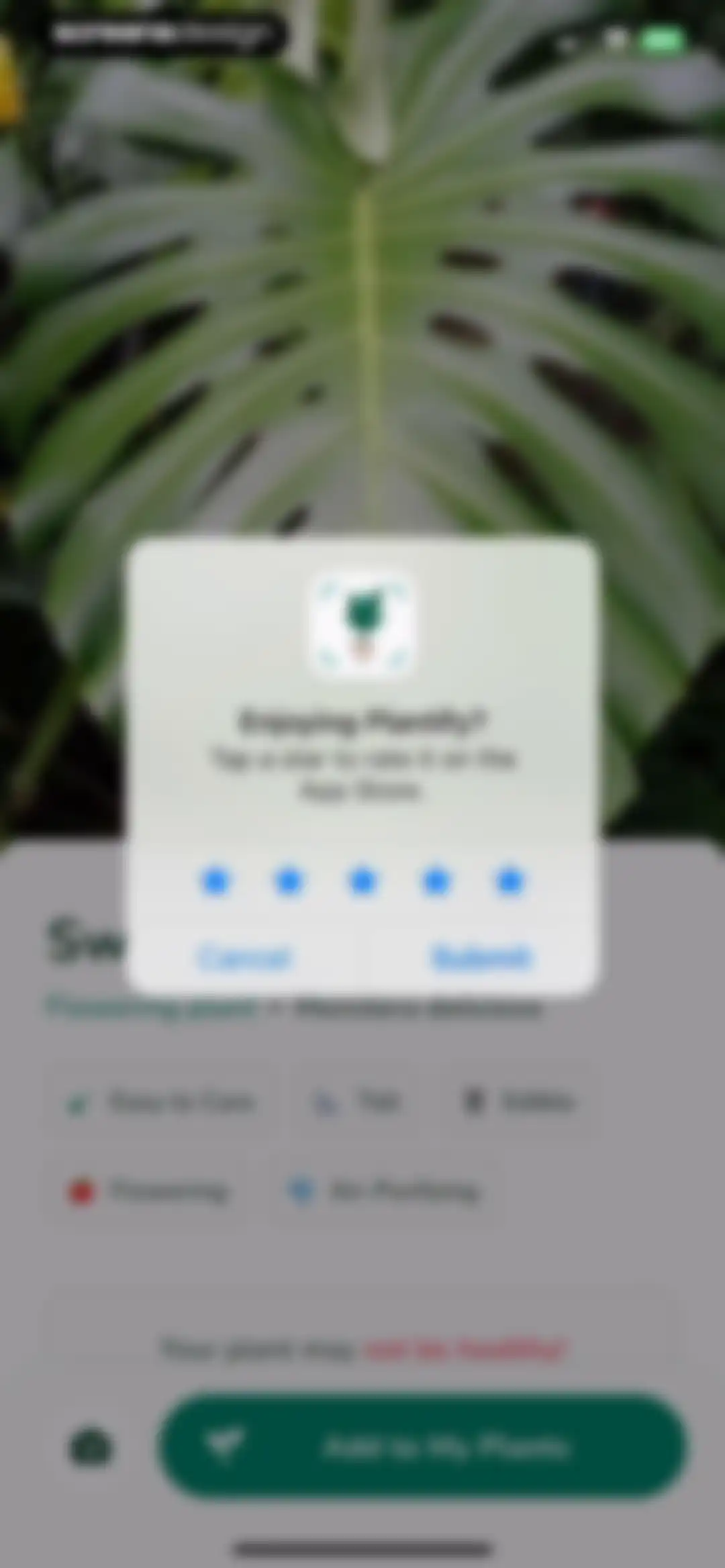 Plantify: AI Plant Identifier screen 12