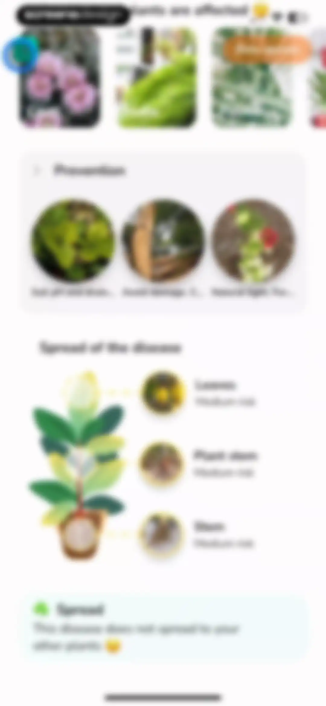 Plant Identifier - PlantMe screen 47