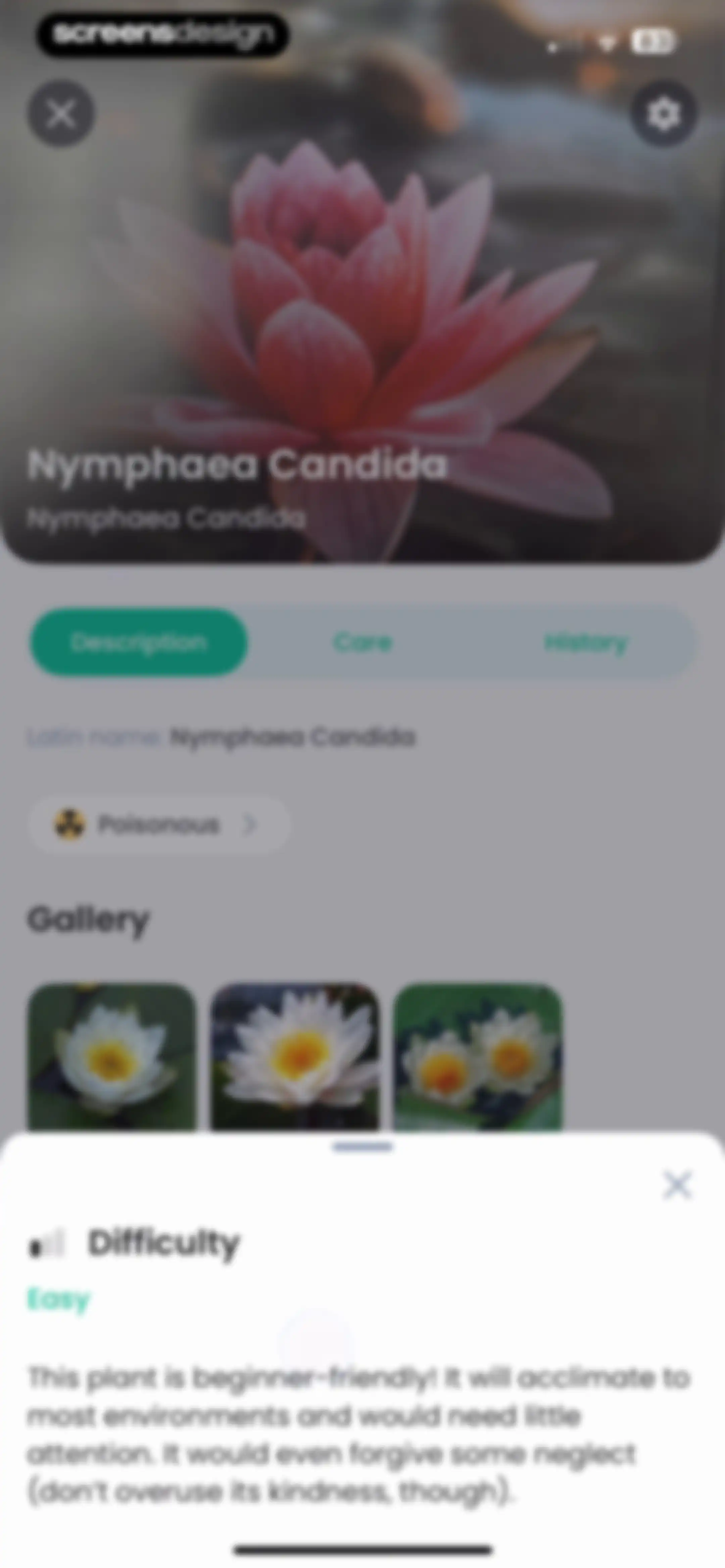 PlantIn: Plant Identifier・Care screen 42