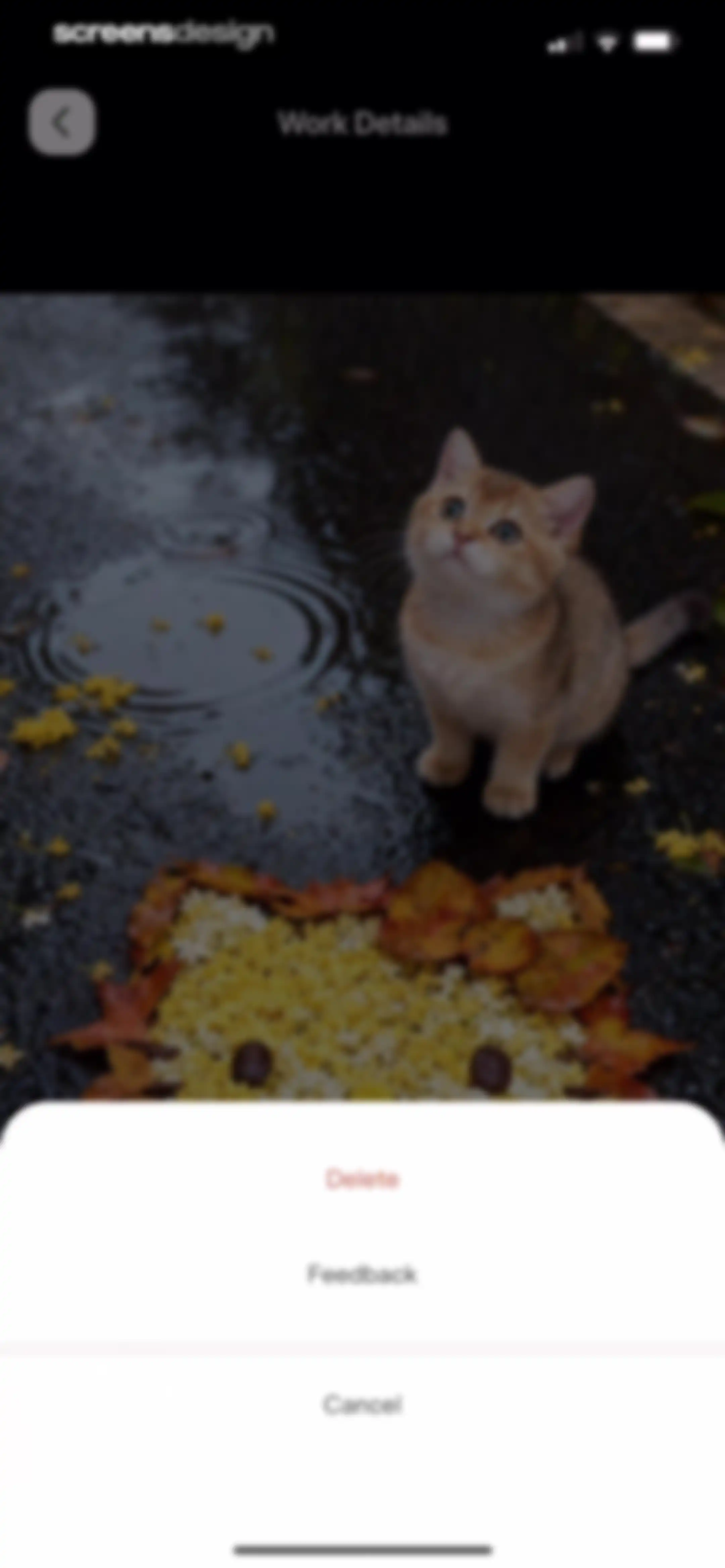PetFun-Pet Talk & Camera screen 37