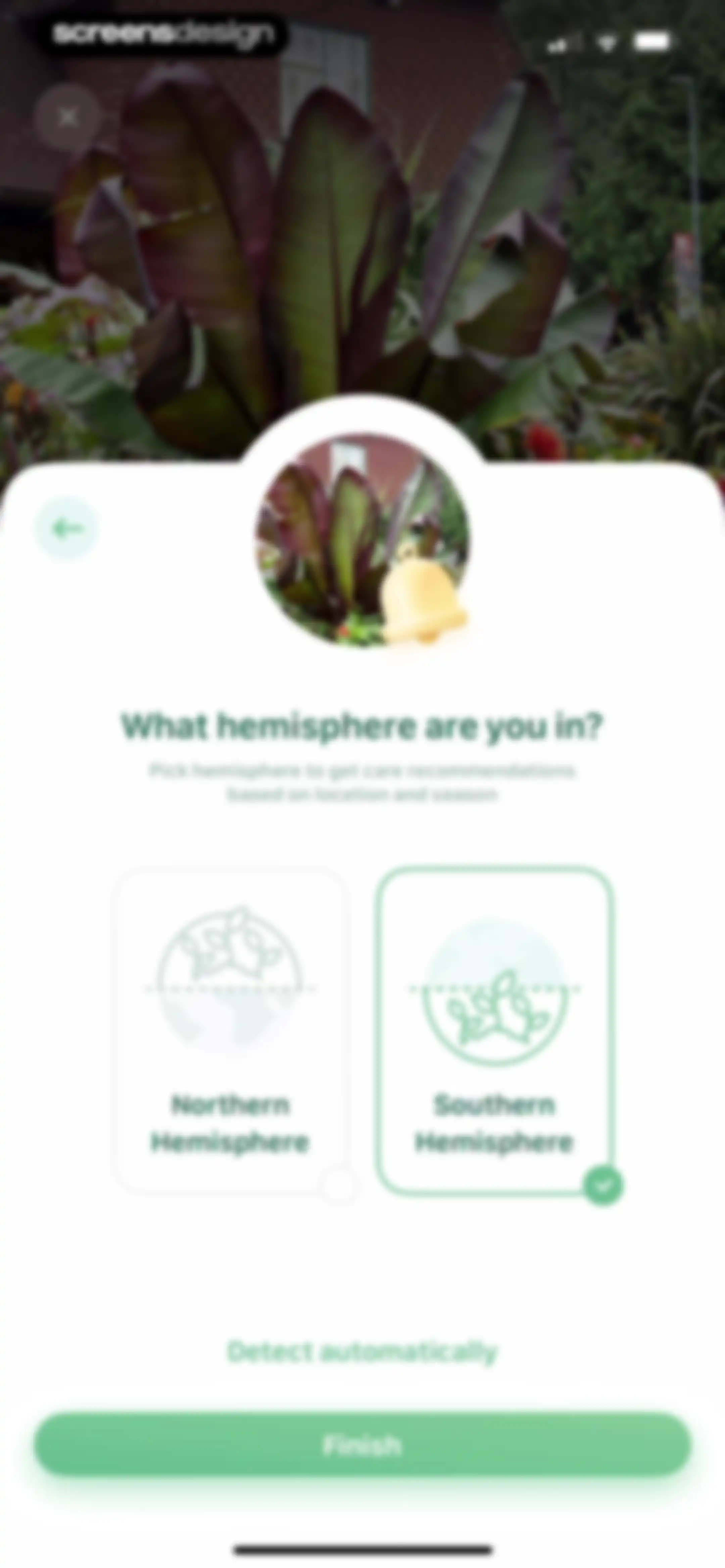 Blossom - Plant Care Guide screen 43