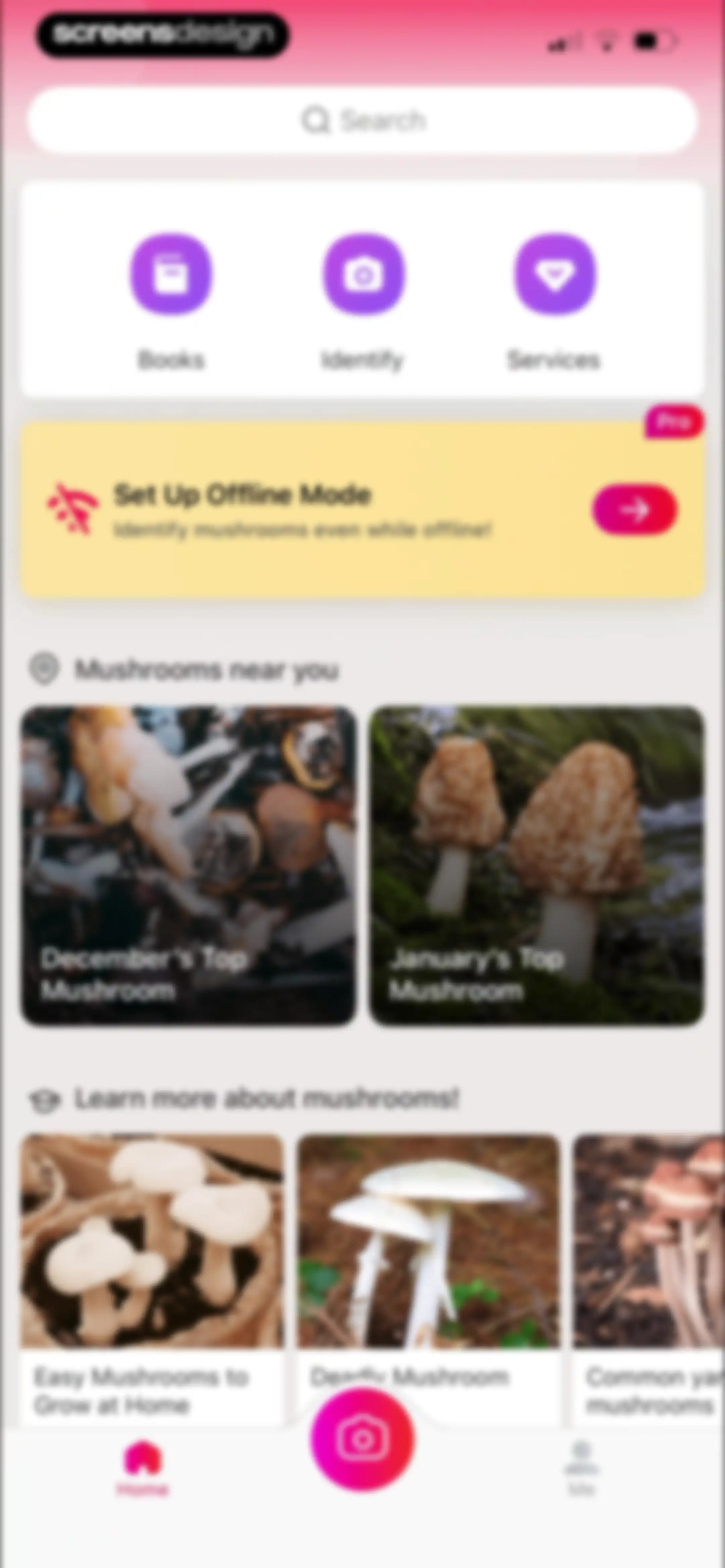 Picture Mushroom: Identifier screen 17