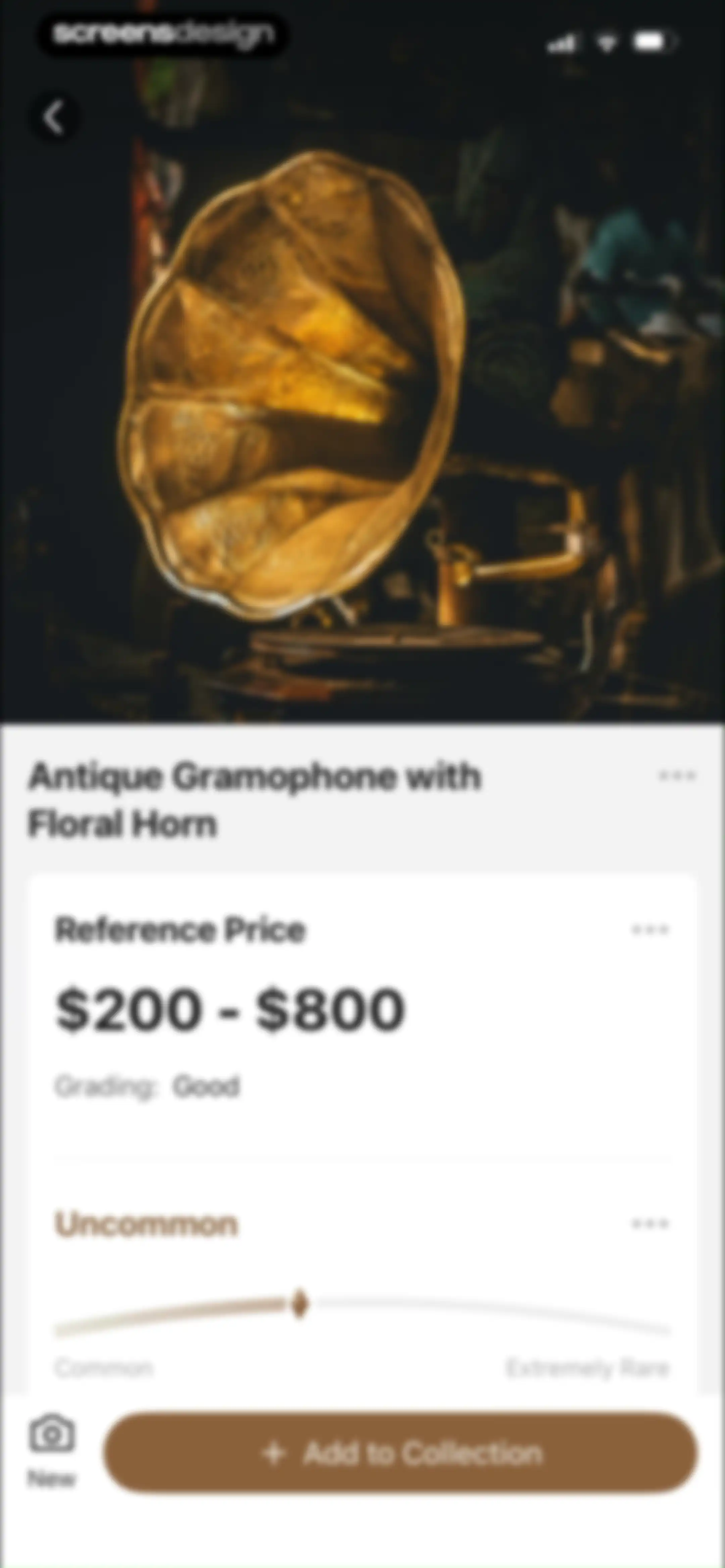 AntiqSnap: Antique Identifier screen 42