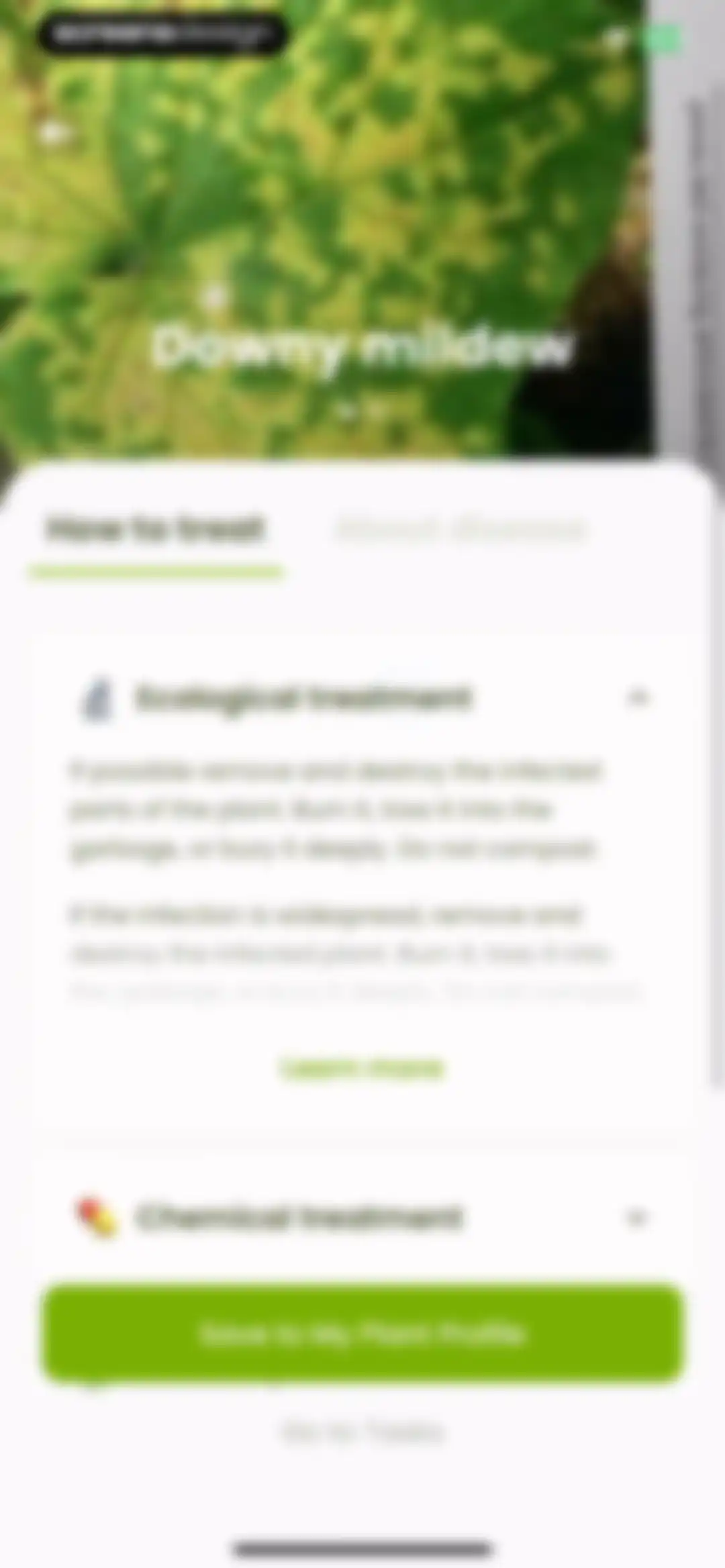 Plant Identifier & Care: Ficus screen 109