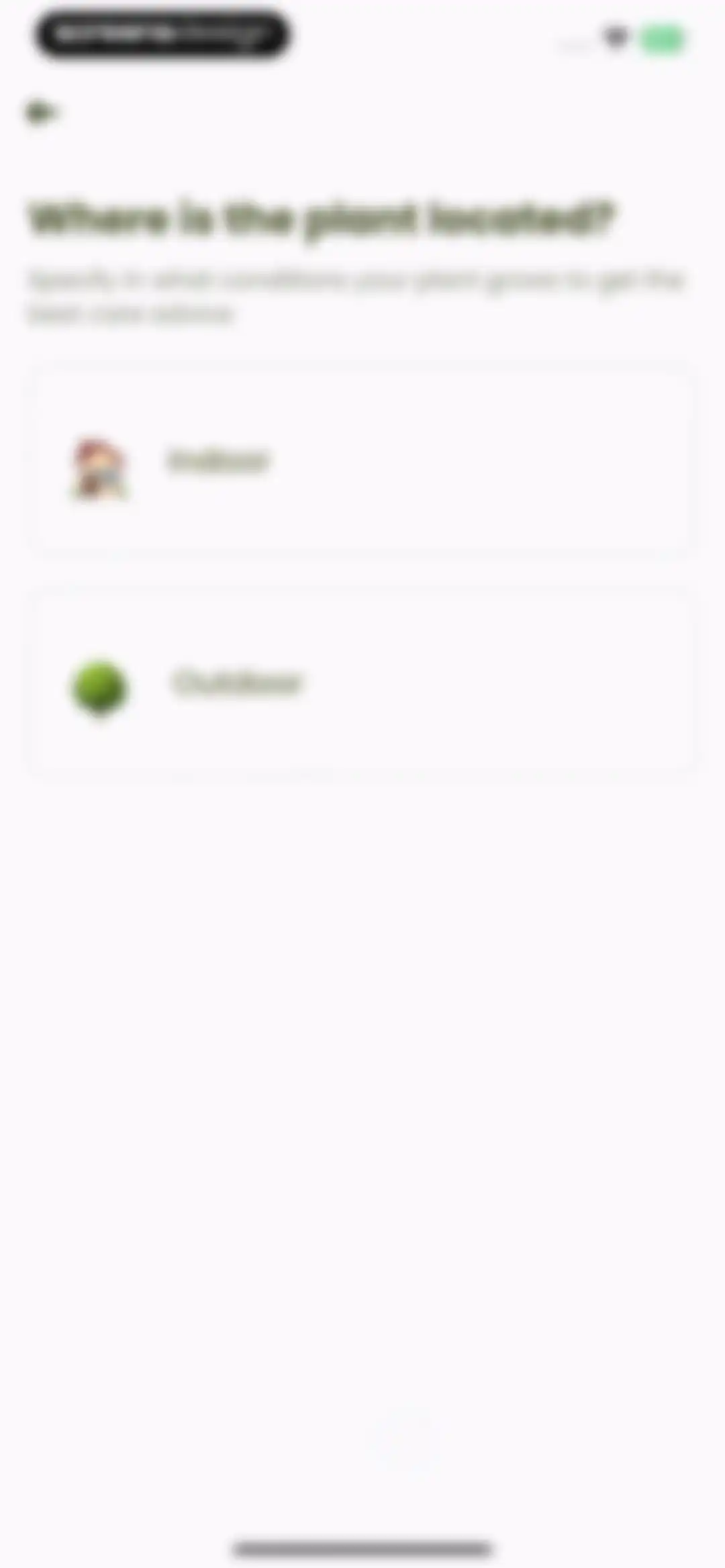 Plant Identifier & Care: Ficus screen 32