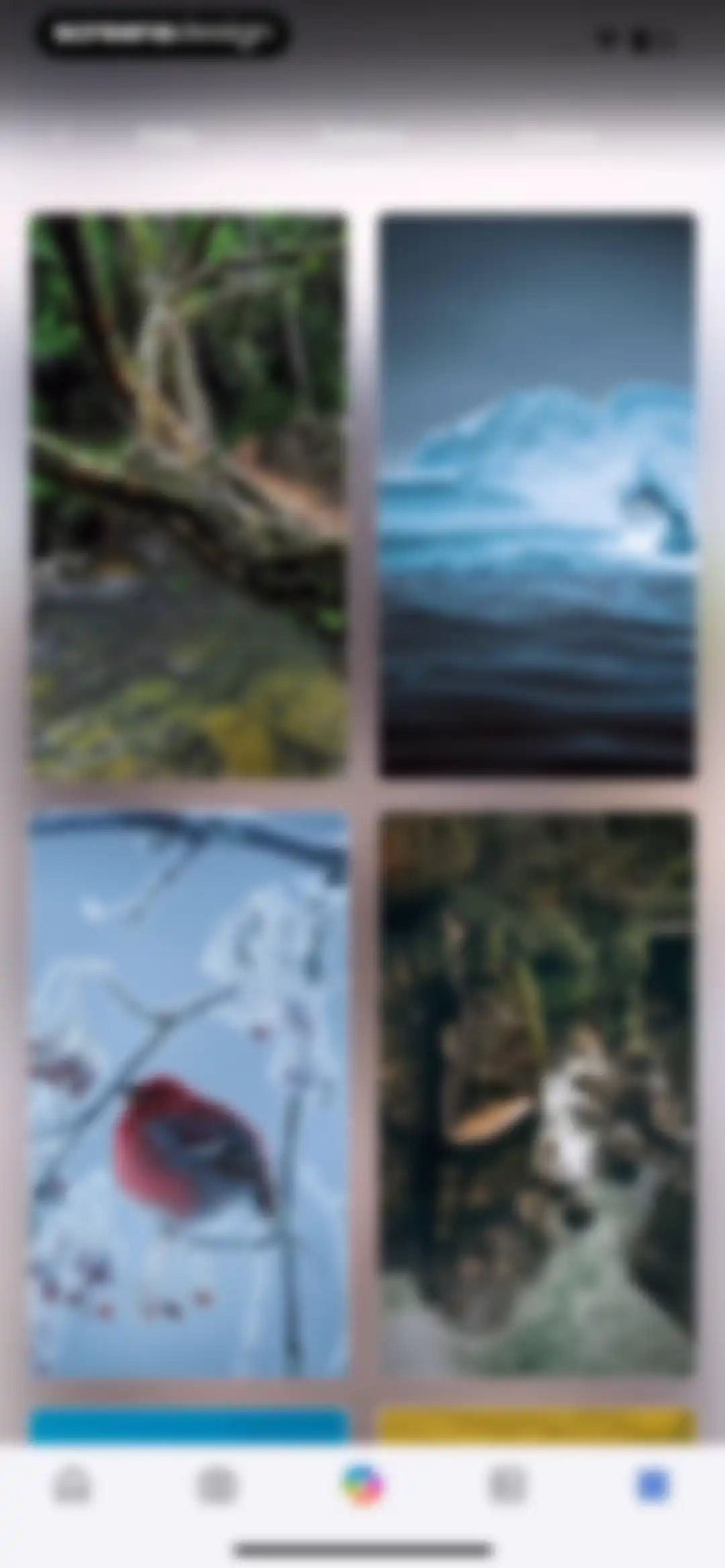Microsoft Bing Search screen 259